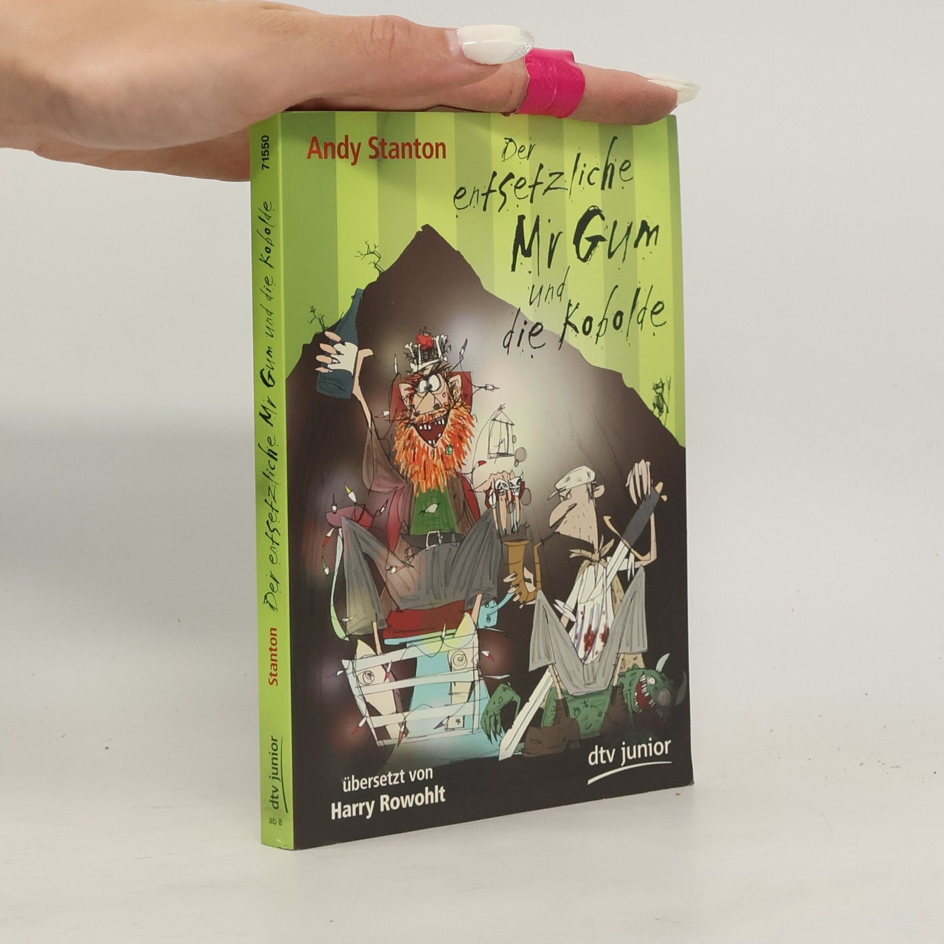 Andy Stanton Der entsetzliche Mr Gum und die Kobolde