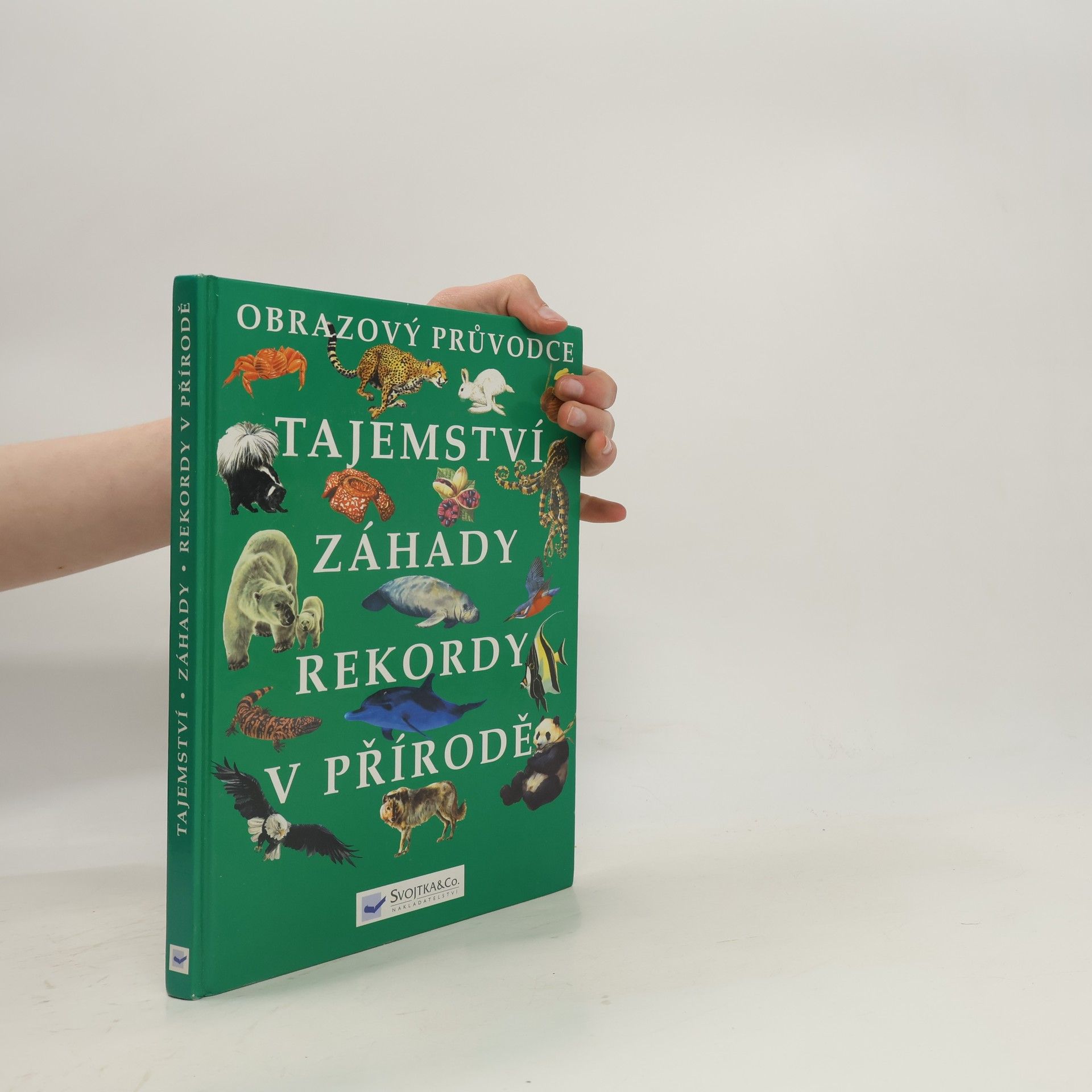 Autorenkollektiv Tajemství, záhady, rekordy v přírodě