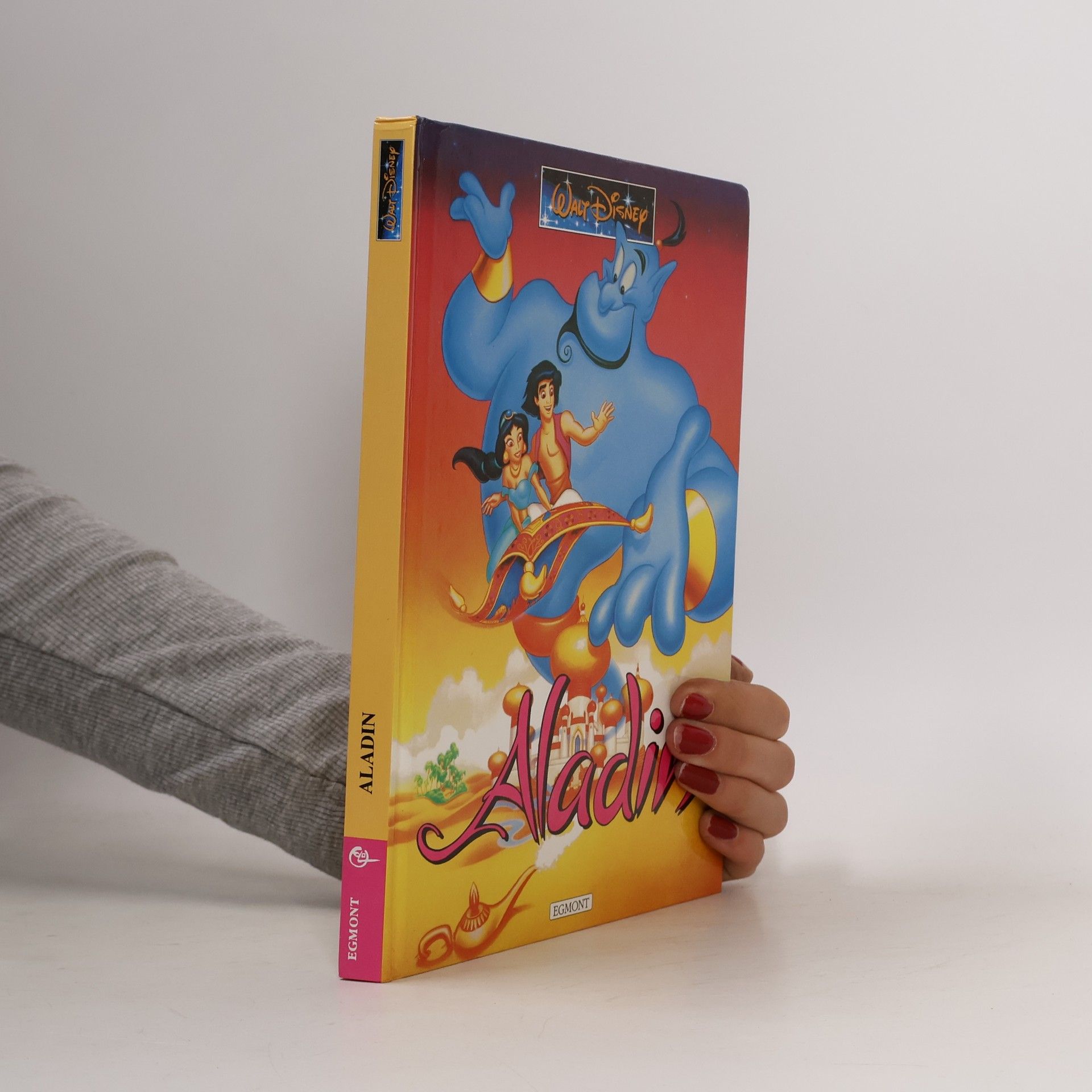 Kolektiv autorů Aladin