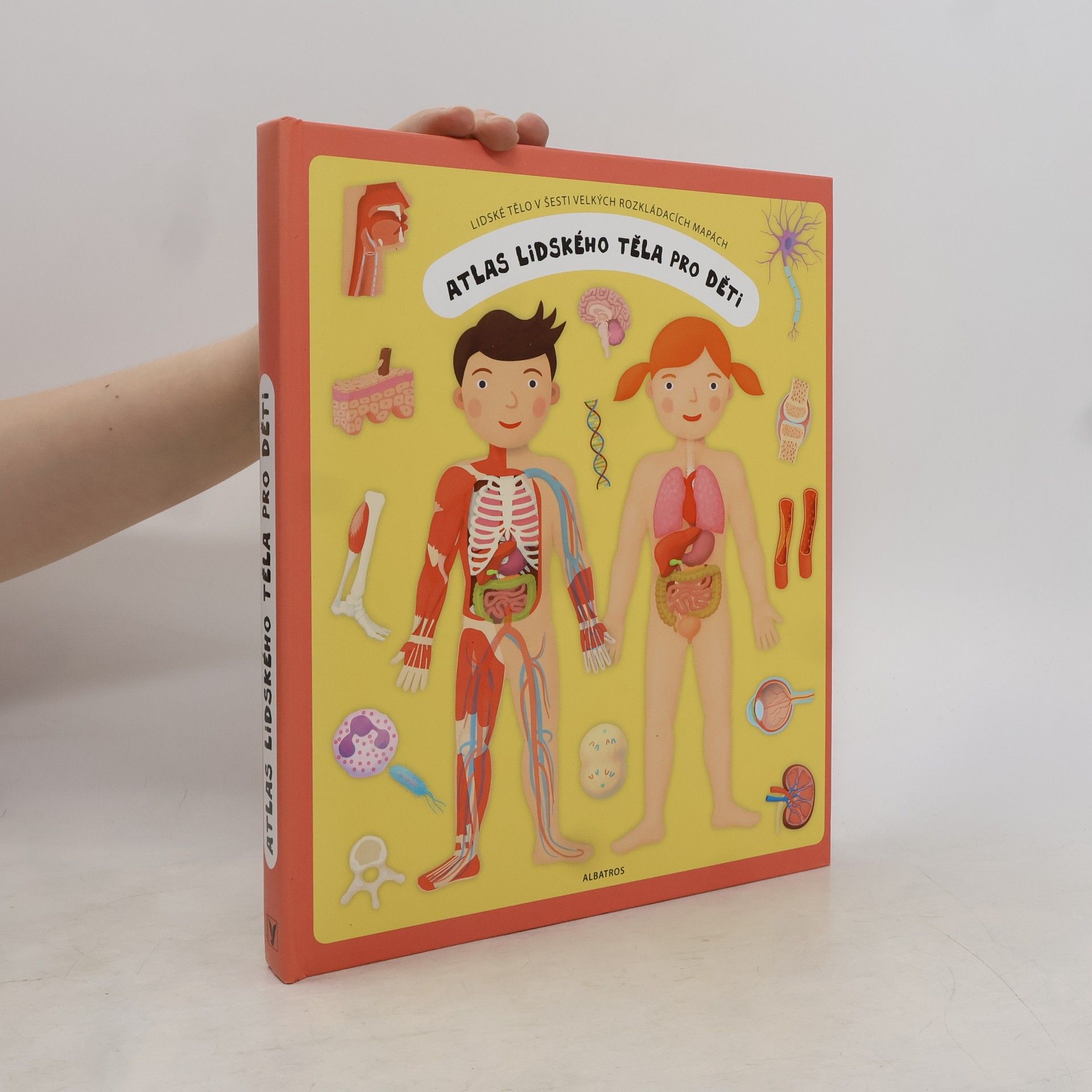 Oldřich Růžička Atlas lidského těla pro děti