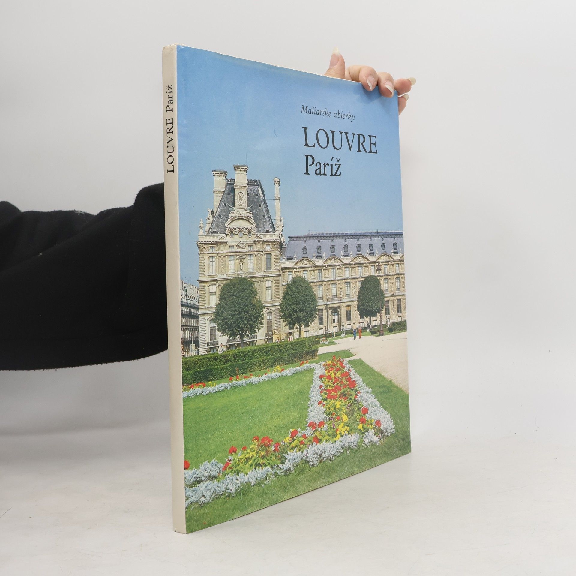 Arnauld Bréjon de Lavergnée Louvre Paríž : Maliarske zbierky