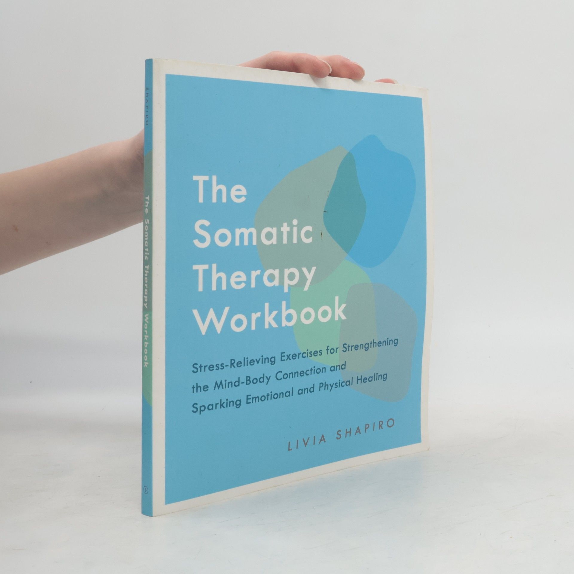 Livia Shapiro The Somatic Therapy Workbook