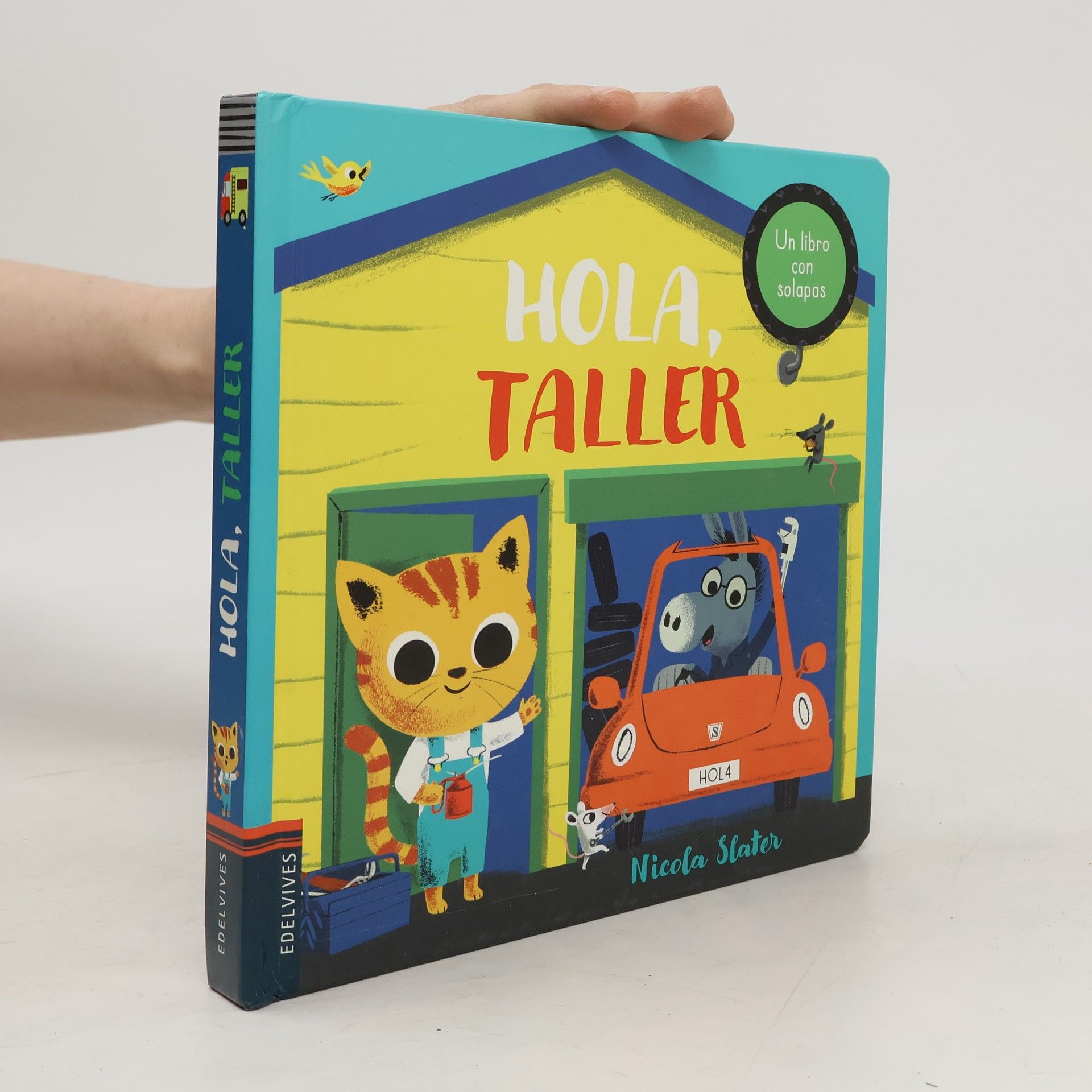 Nicola Slater Hola, taller