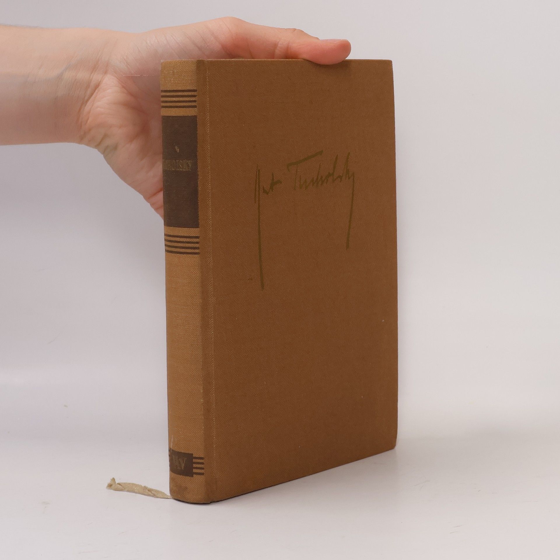 Victoria Walters Tucholsky. Ein Lesebuch für unsere Zeit