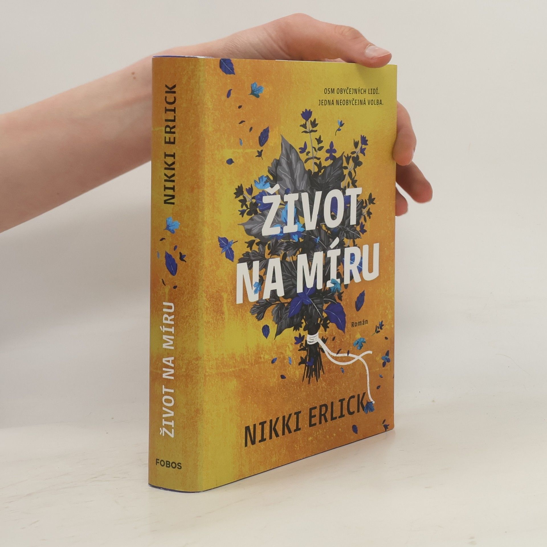 Nikki Erlick Život na míru