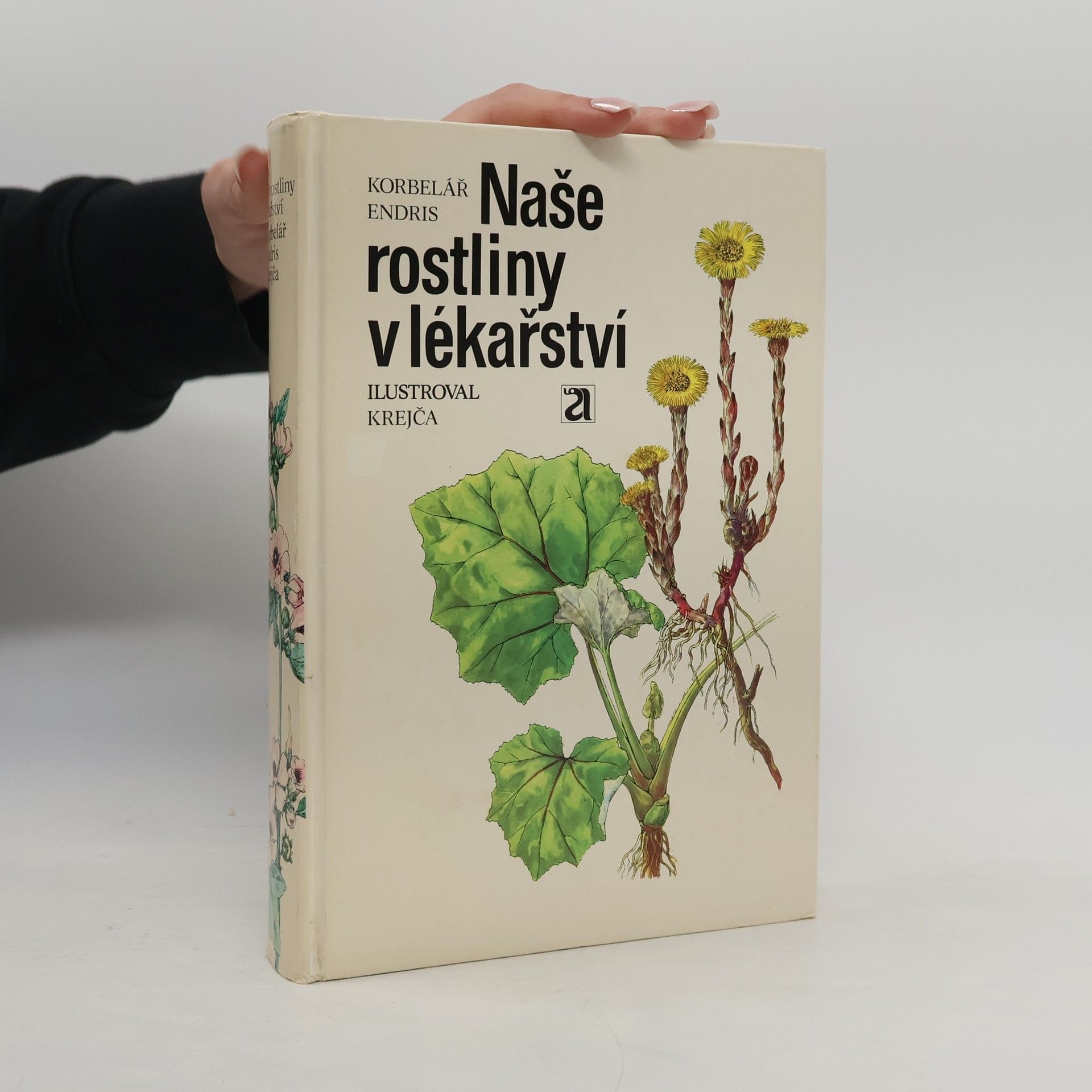 Jaroslav Korbelář Naše rostliny v lékařství