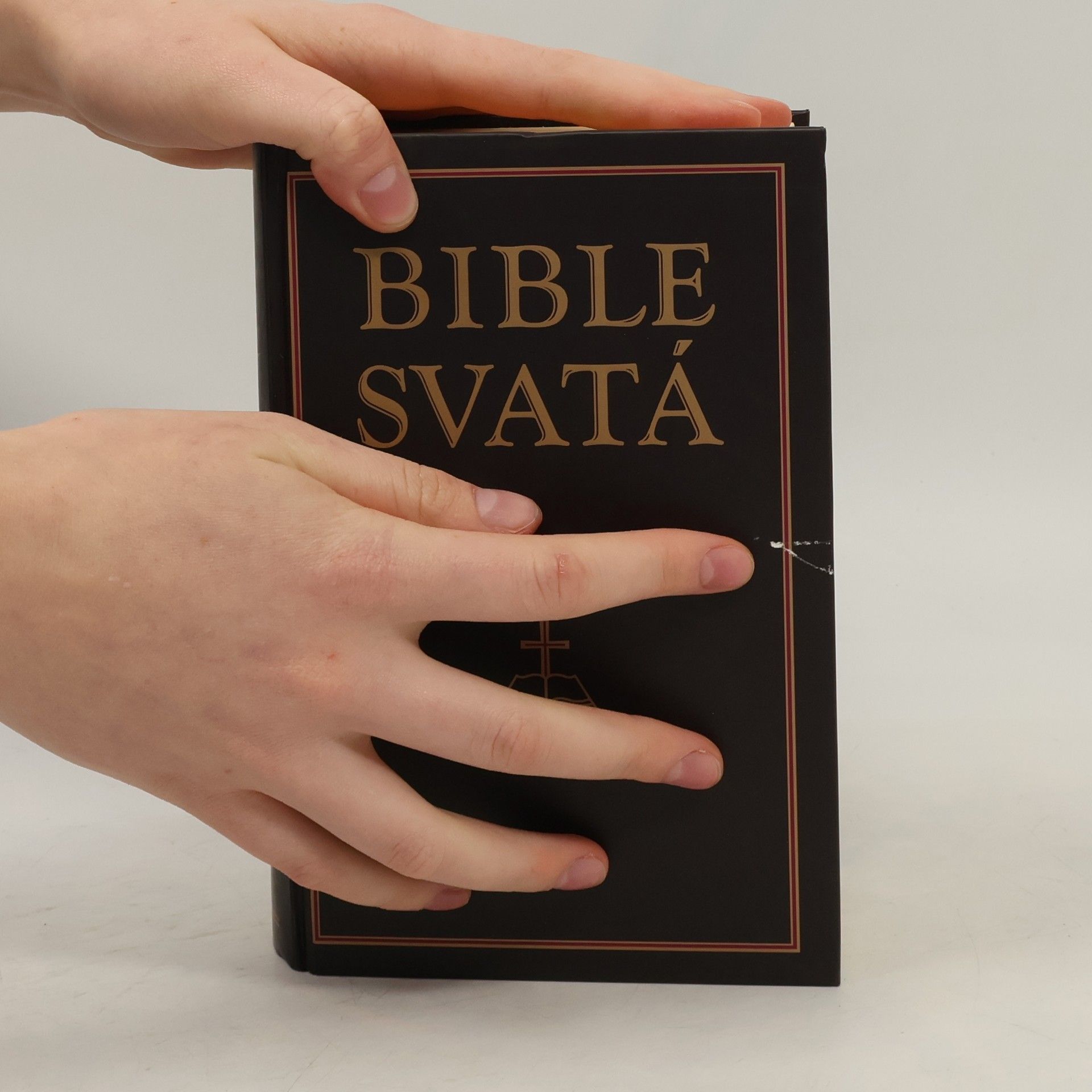Various authors Bible svatá aneb všecka svatá písma Starého i Nového zákona