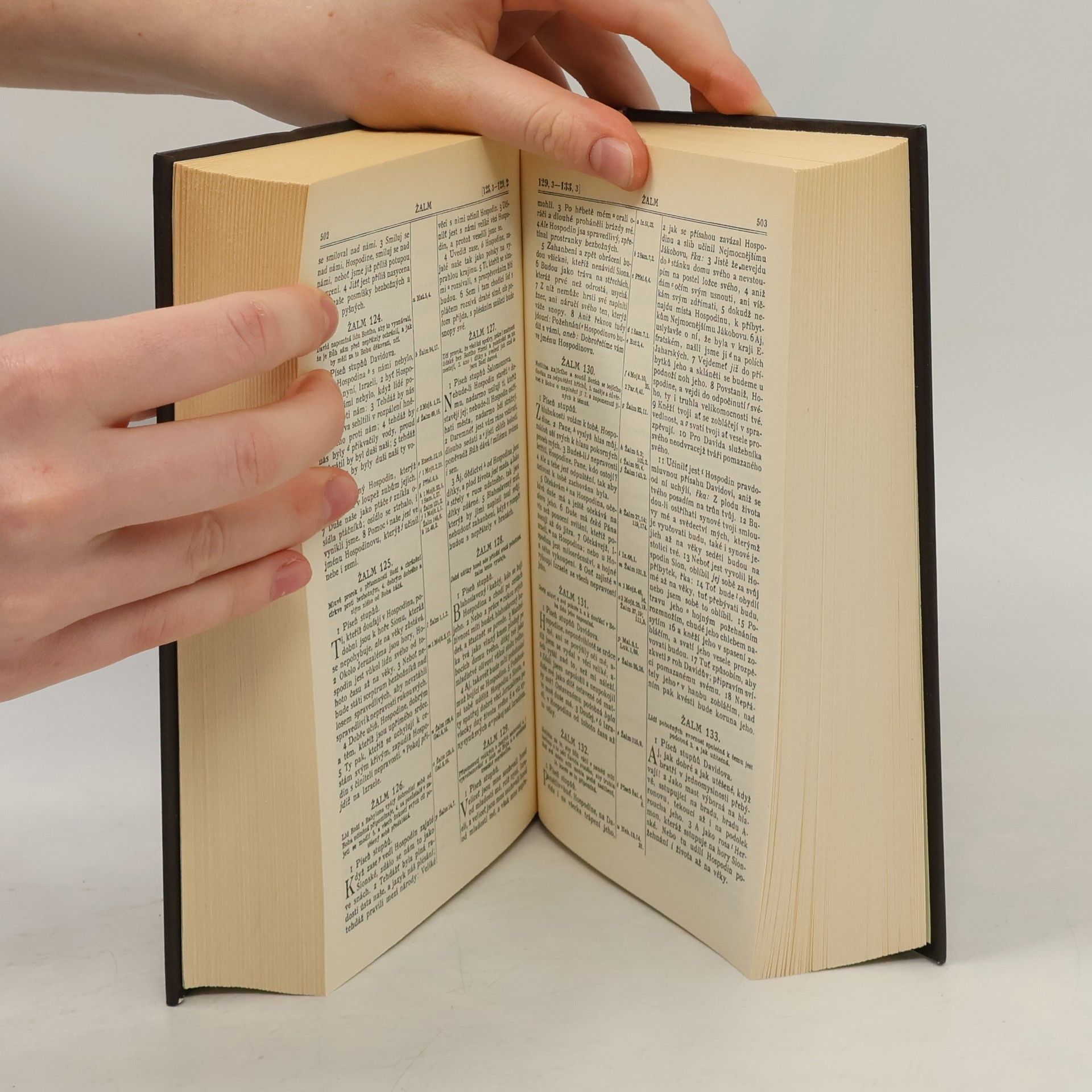 Various authors Bible svatá aneb všecka svatá písma Starého i Nového zákona