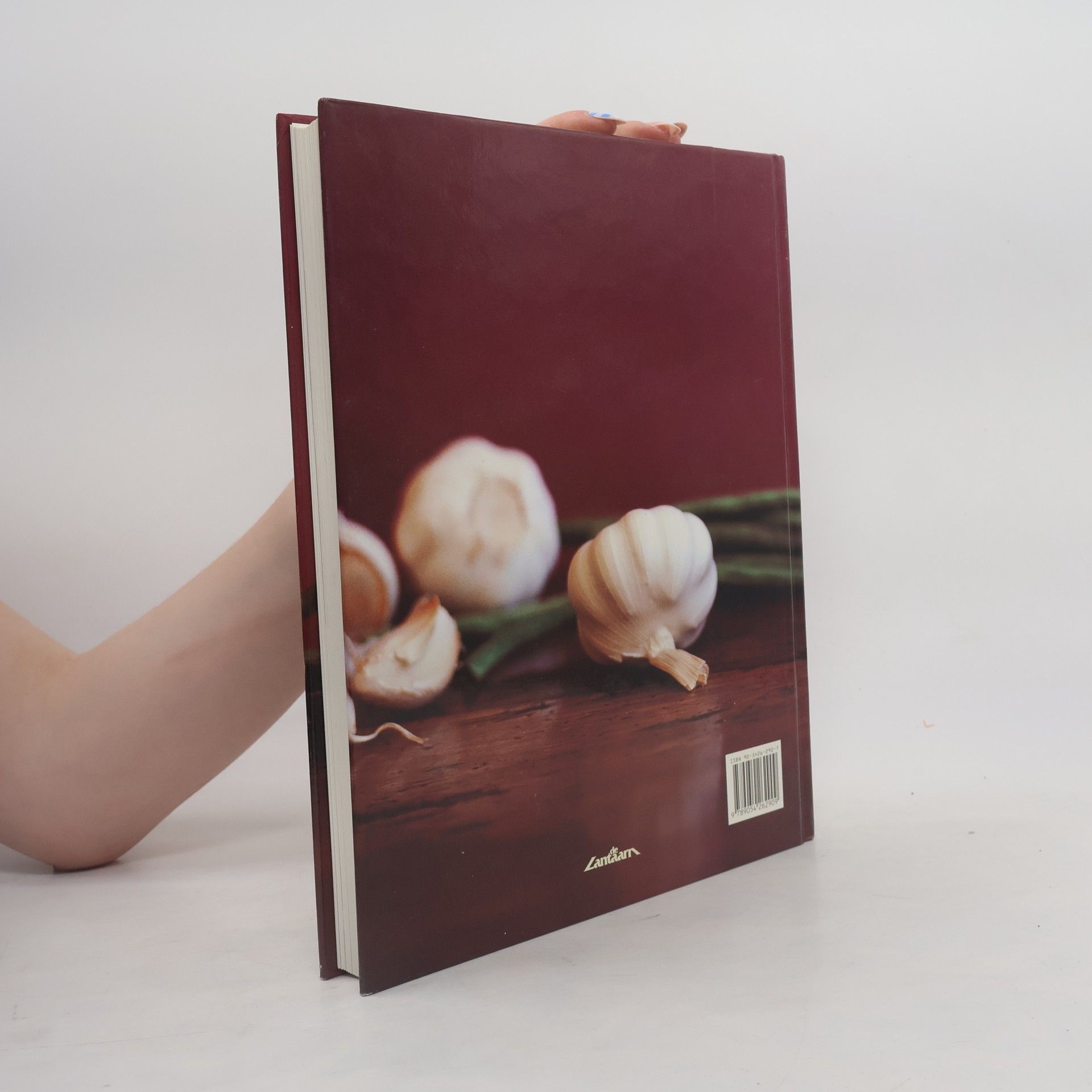 K. Maclean Het complete wok kookboek