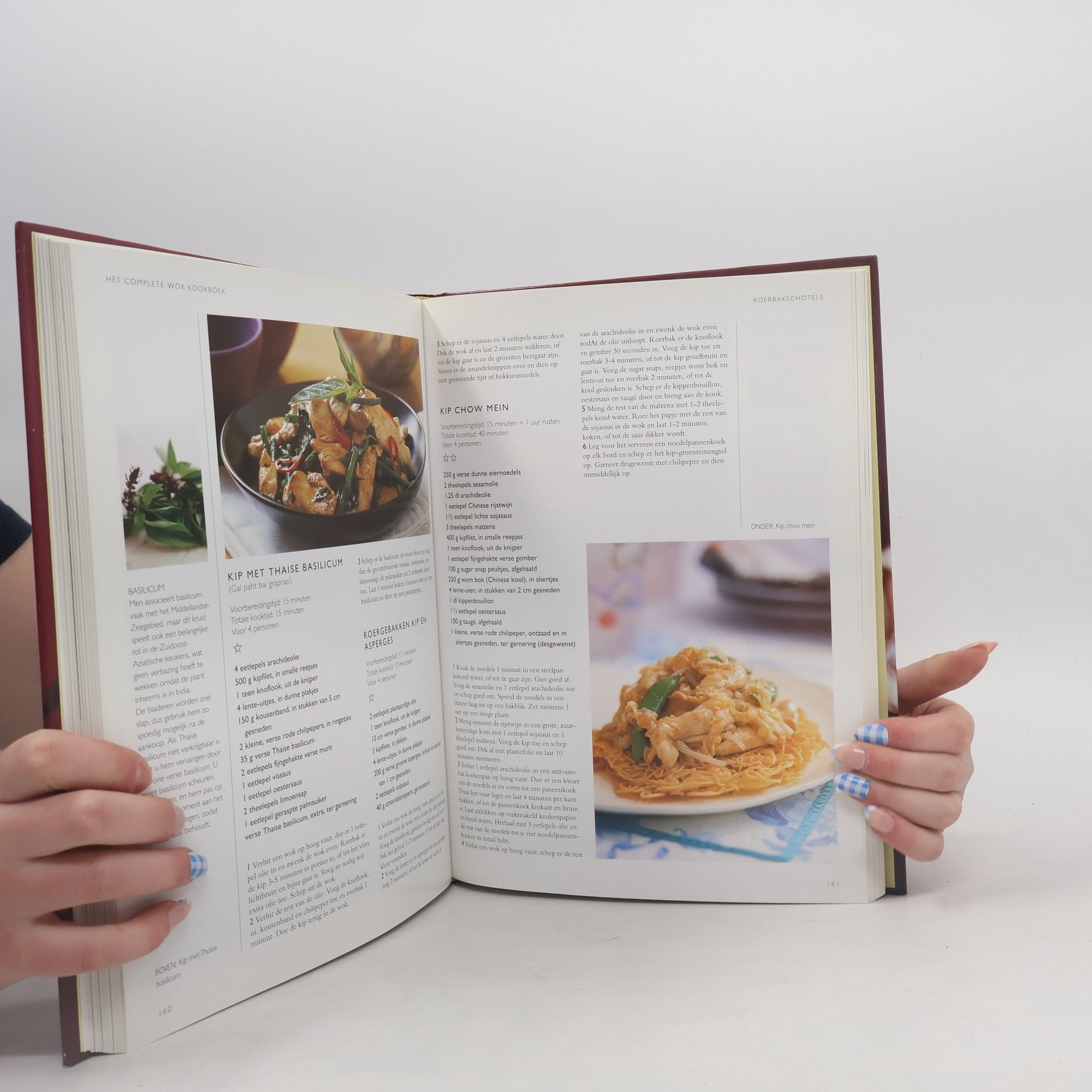 K. Maclean Het complete wok kookboek