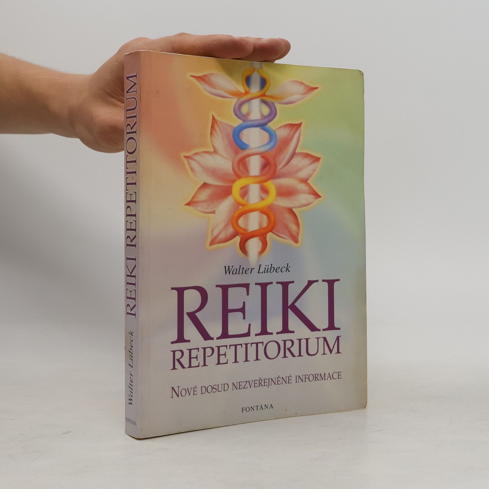 Walter Lübeck Repetitorium reiki
