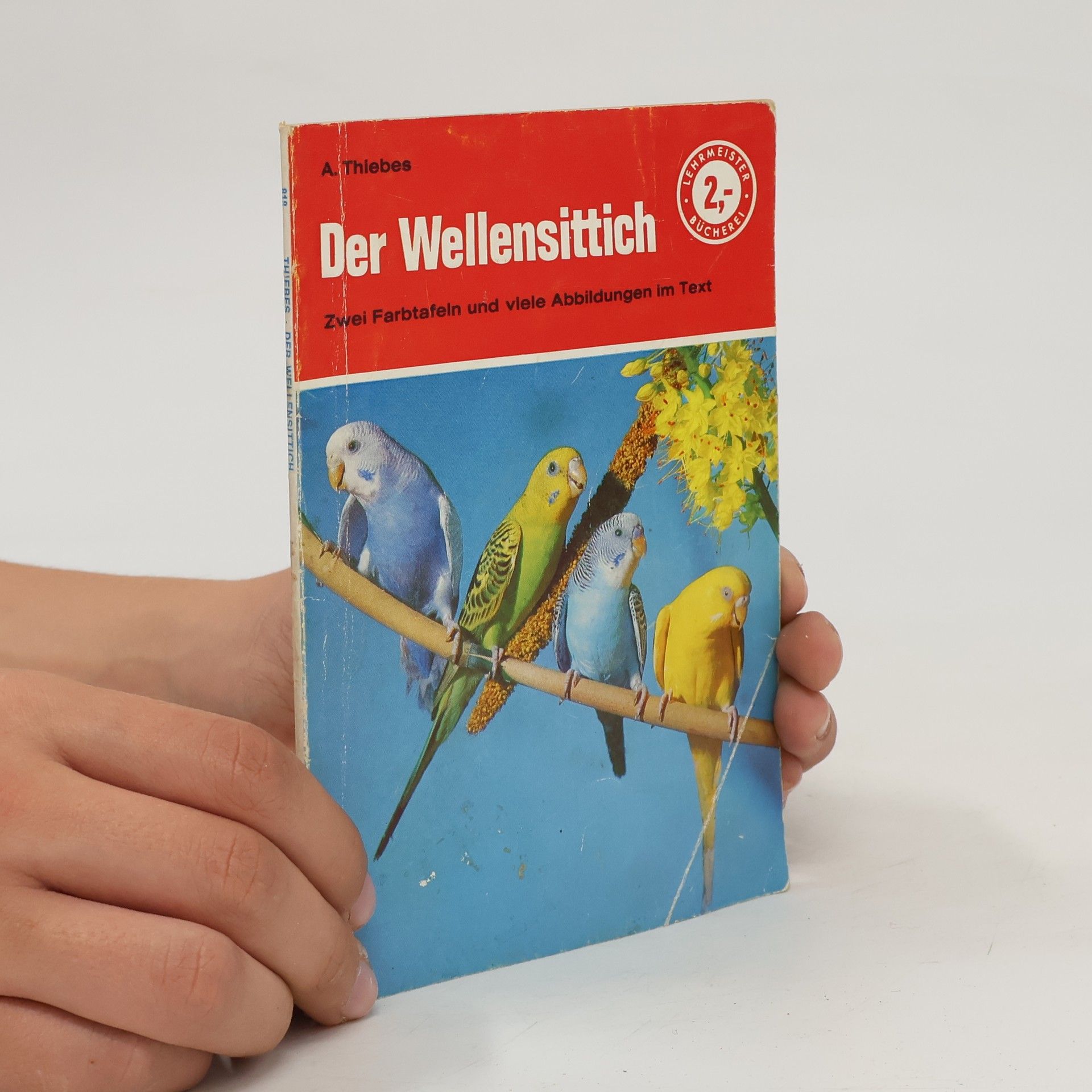 Albrecht Thiebes Der Wellensittich