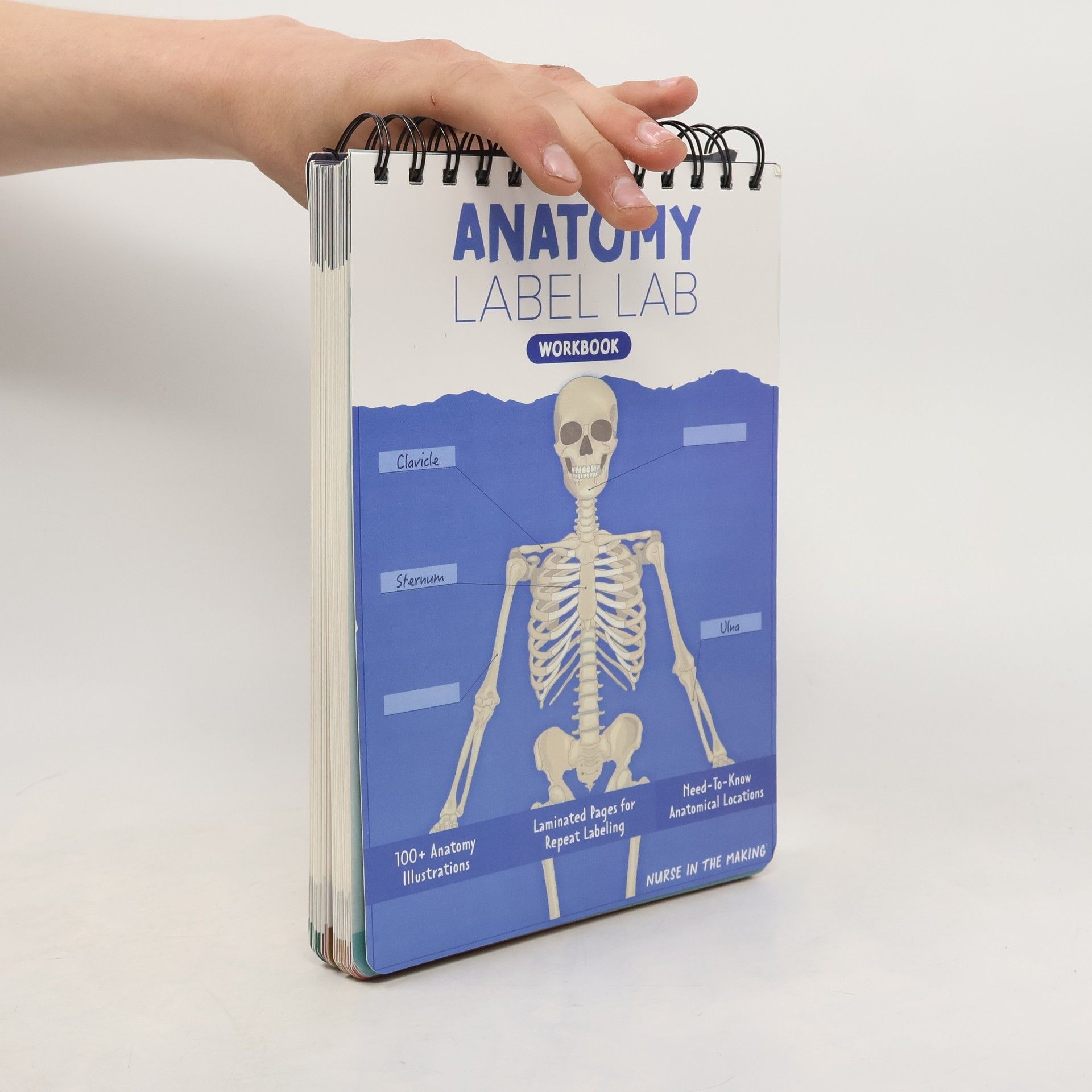 Kolektiv autorů Anatomy Label Lab. Workbook