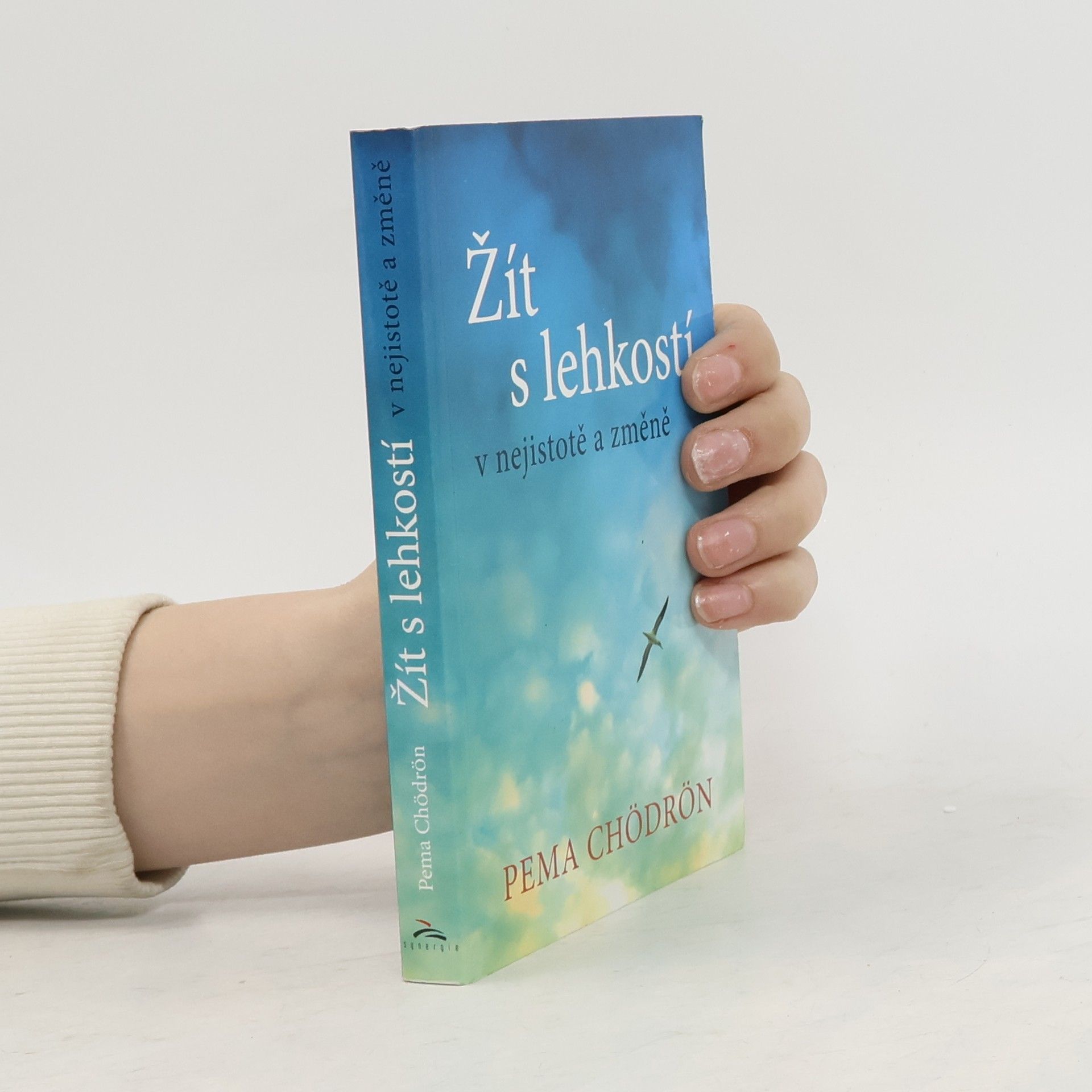 Pema Chödrön Žít s lehkostí