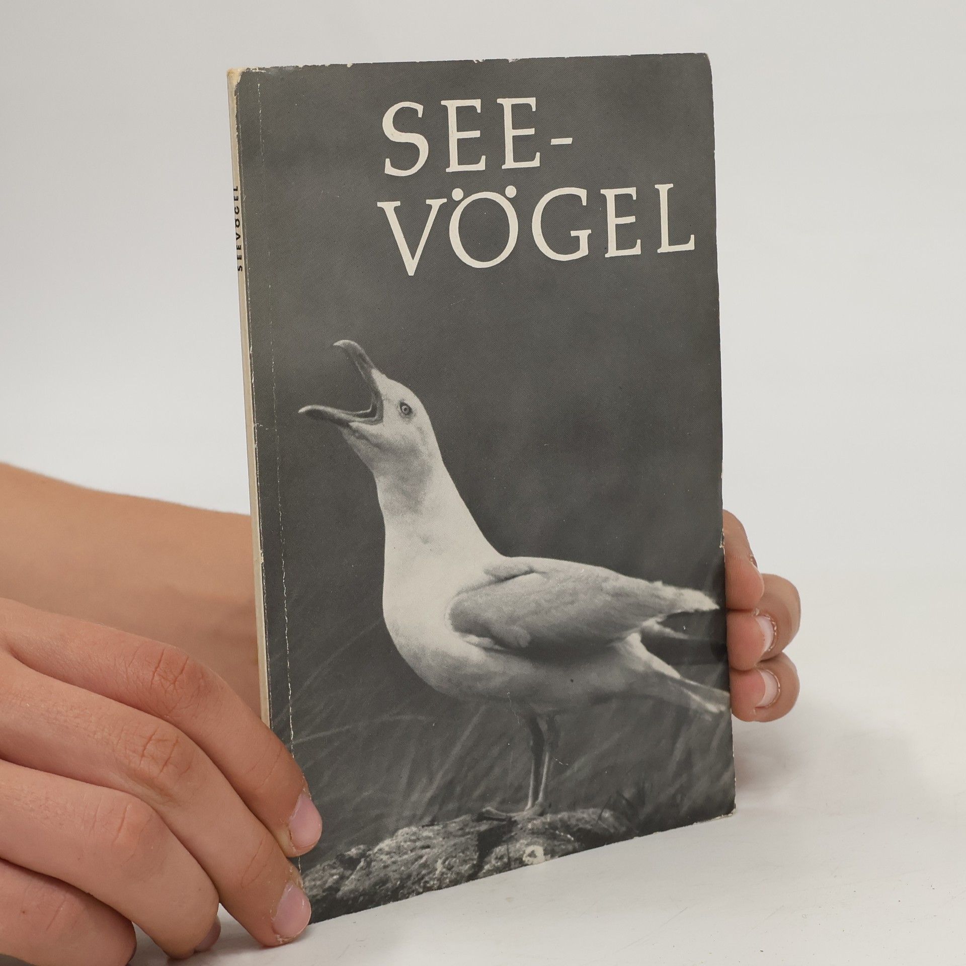 Georg Quedens Seevögel