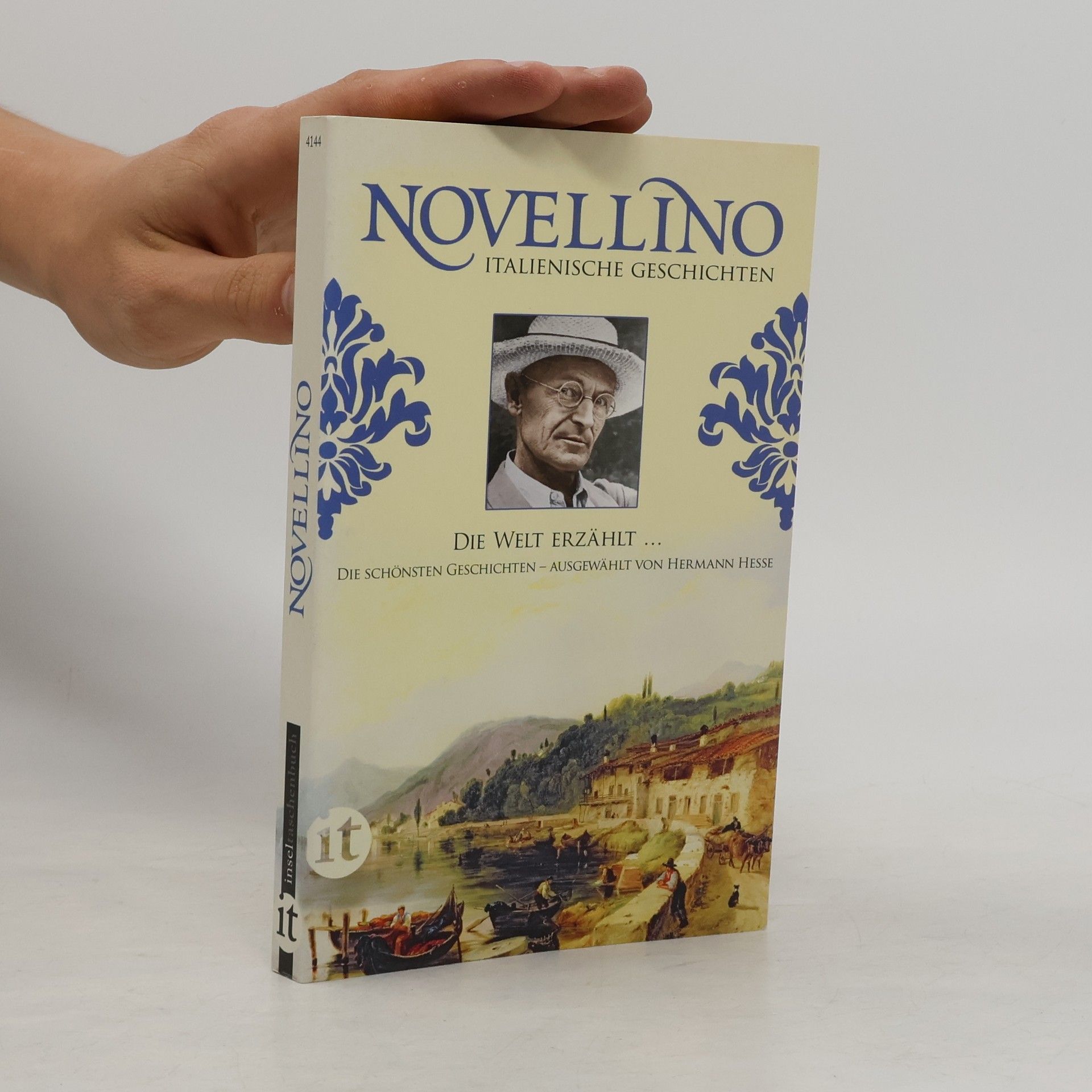 Hermann Hesse Novellino