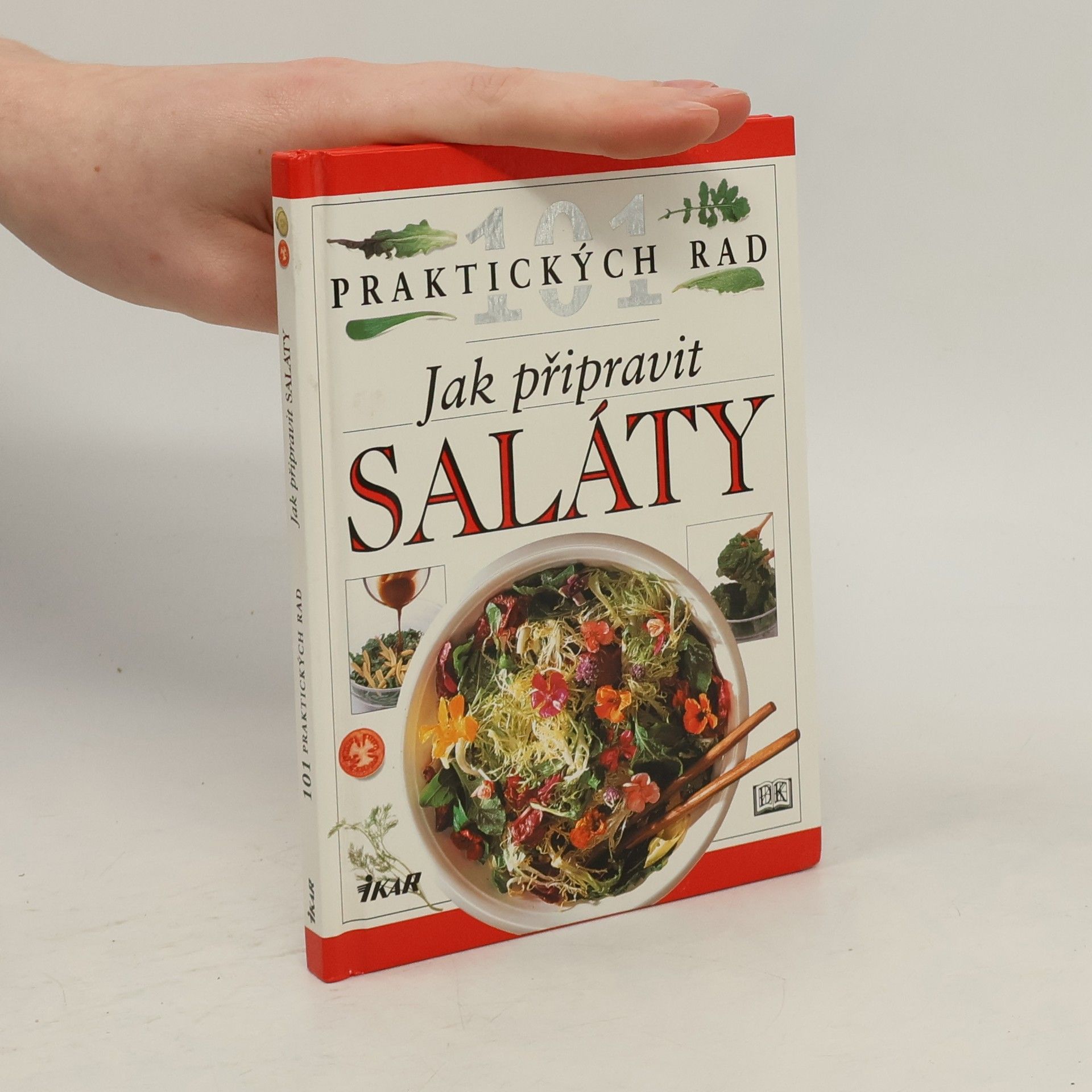 Anne Willan Jak připravit saláty