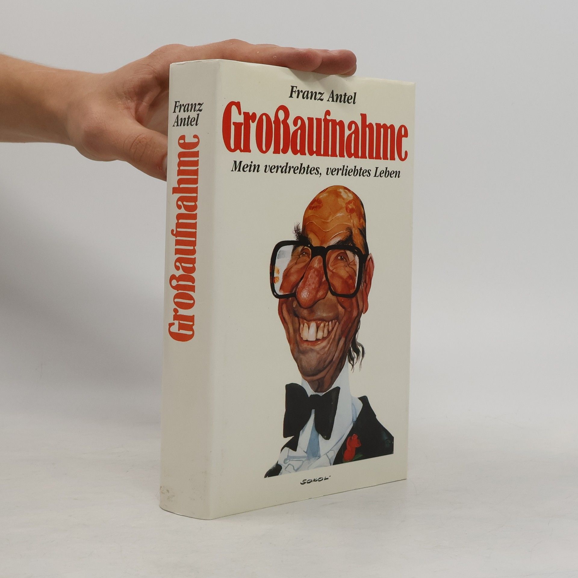 Großaufnahme