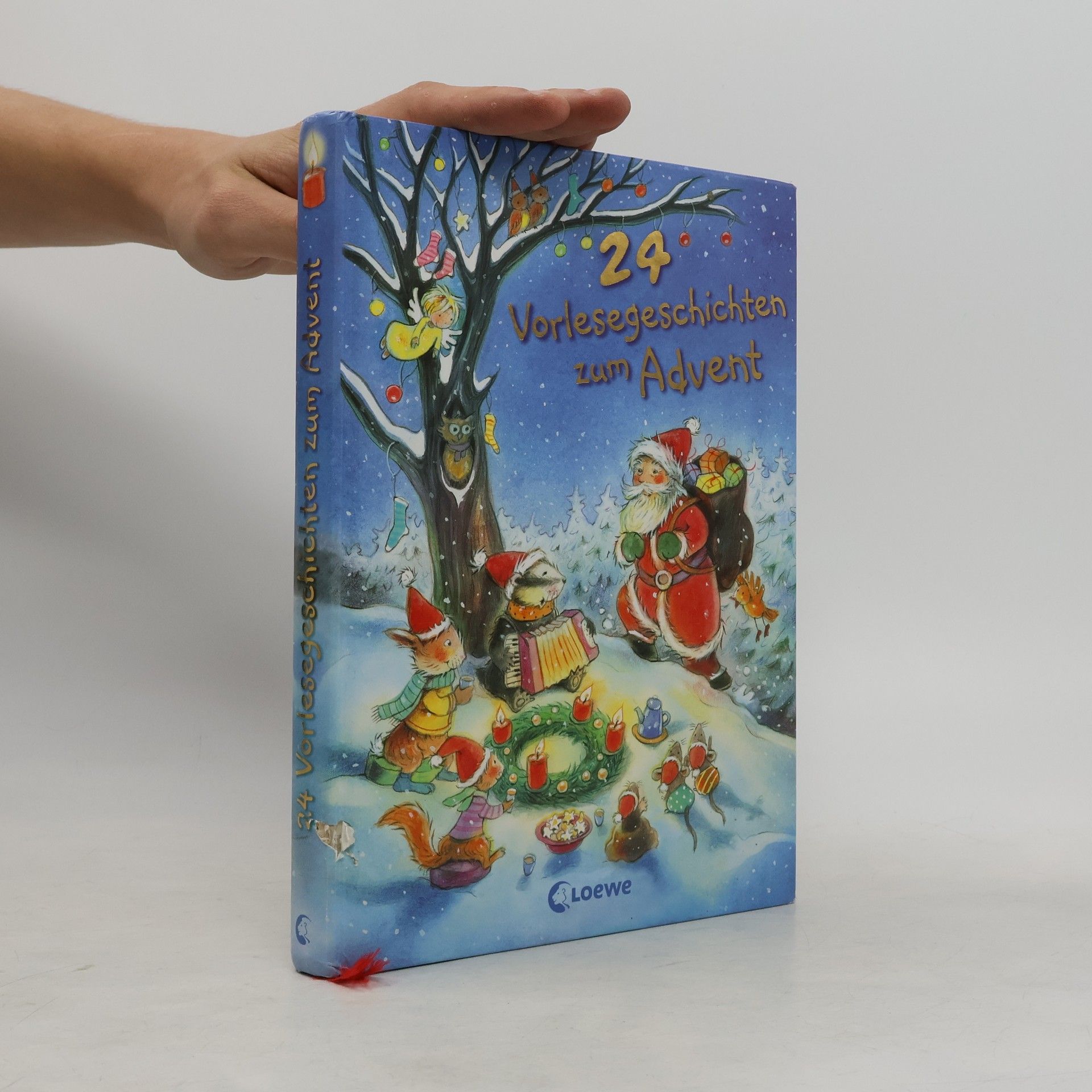 Various authors 24 Vorlesegeschichten zum Advent