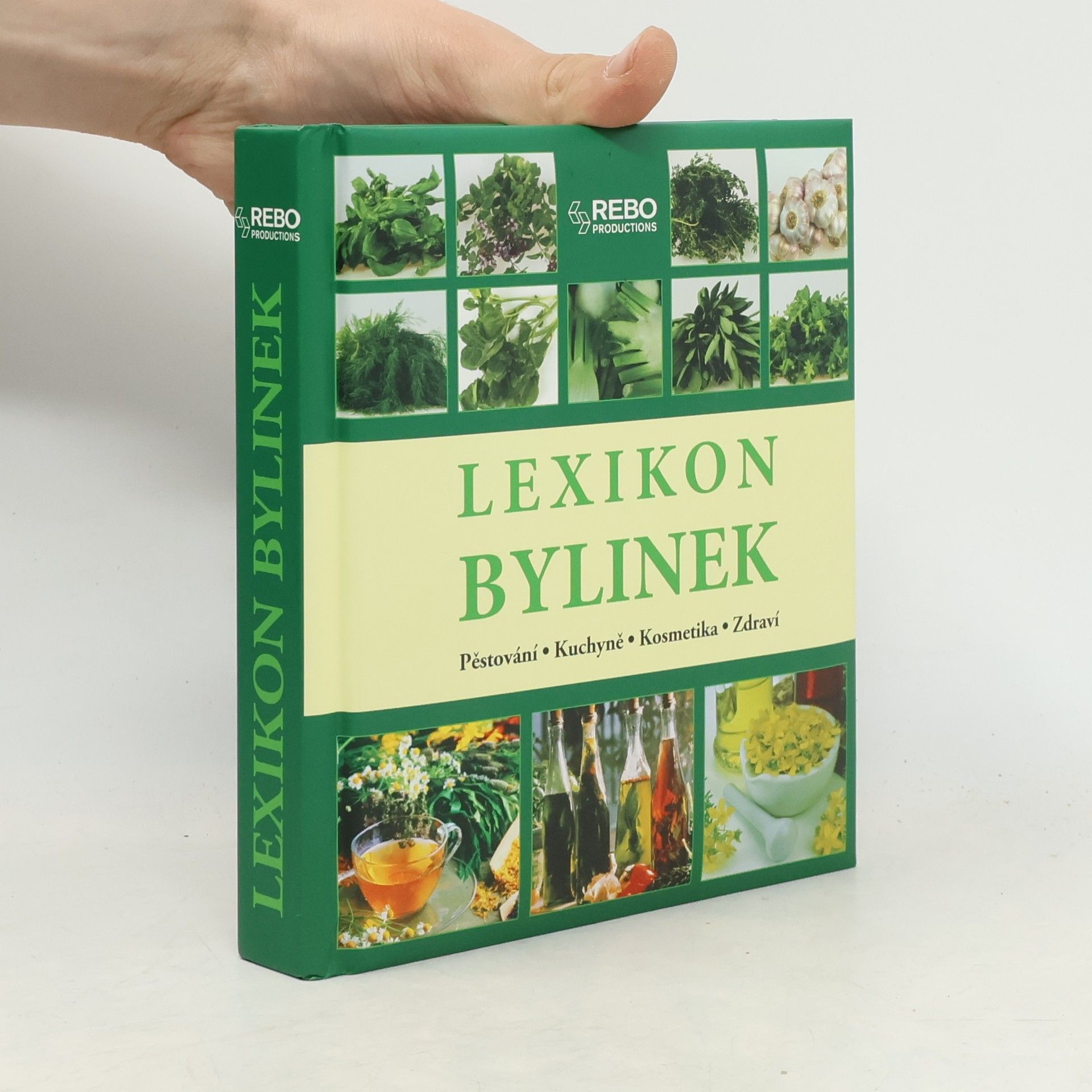 Andrea Rausch Lexikon bylinek