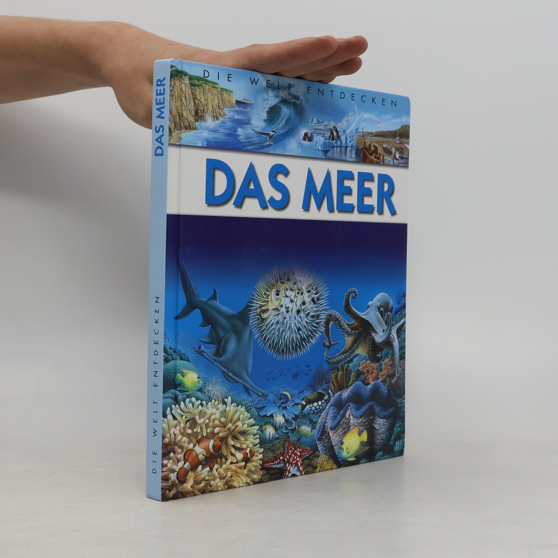 Kolektiv autorů Das Meer