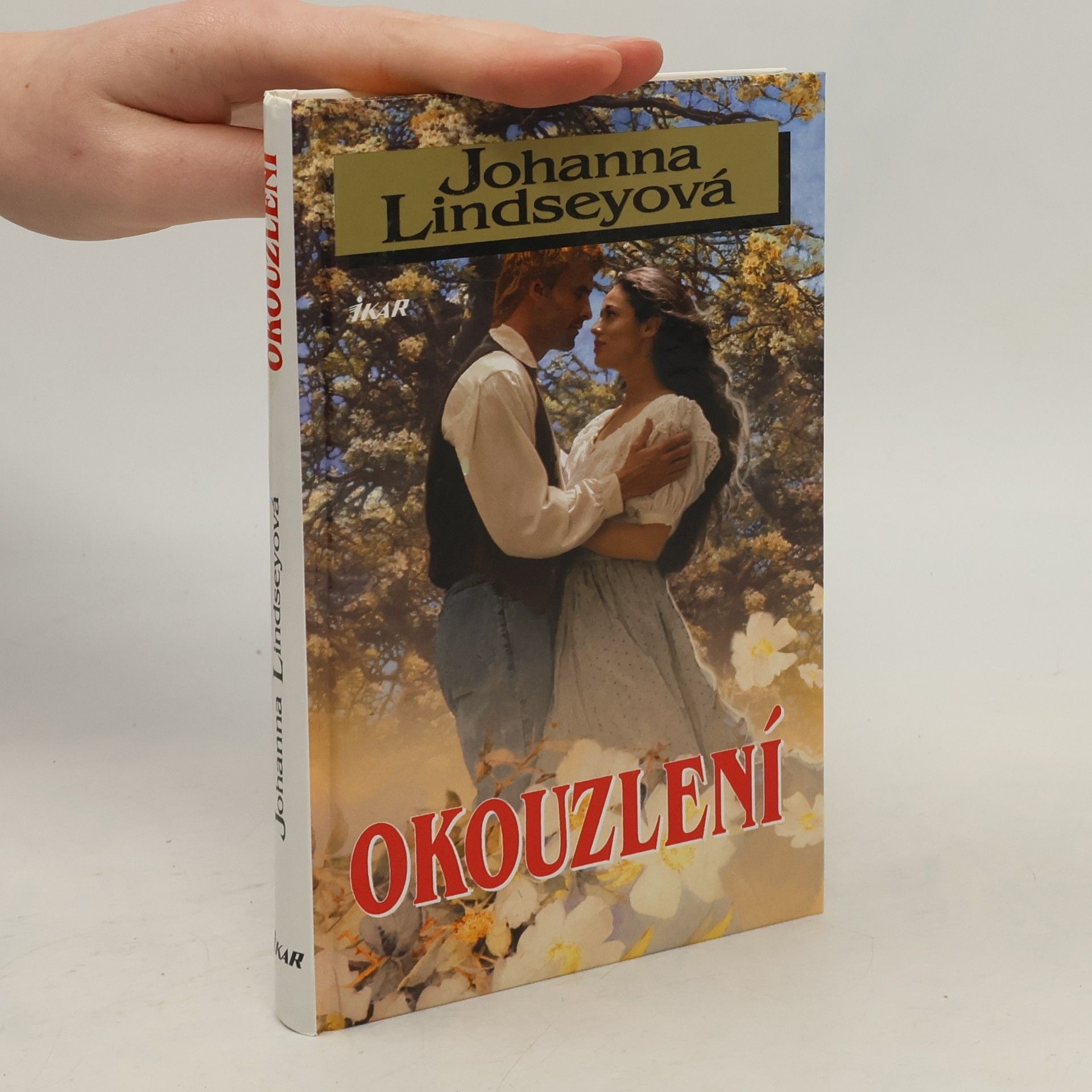 Johanna Lindsey Okouzlení