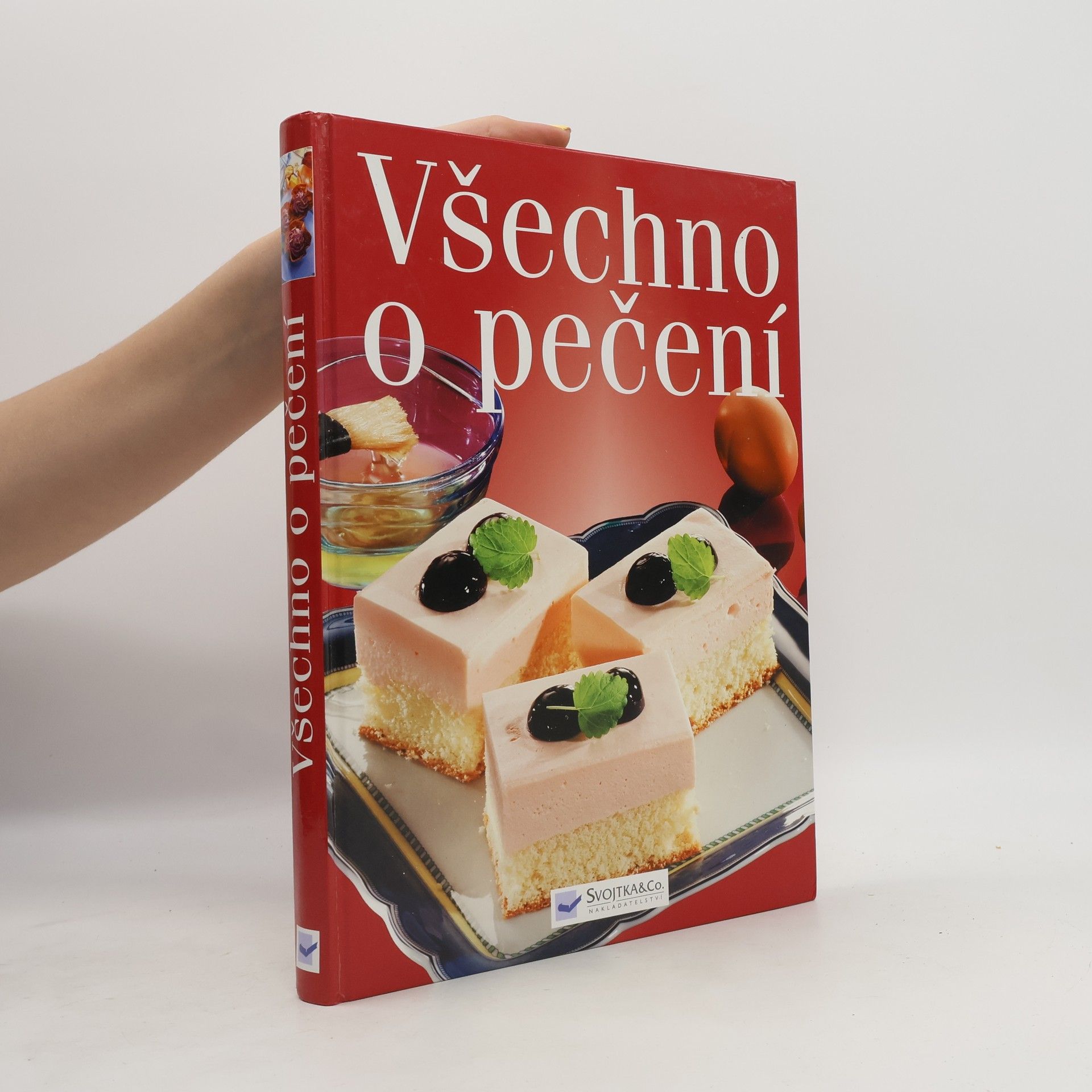 Collectif d'auteurs Všechno o pečení
