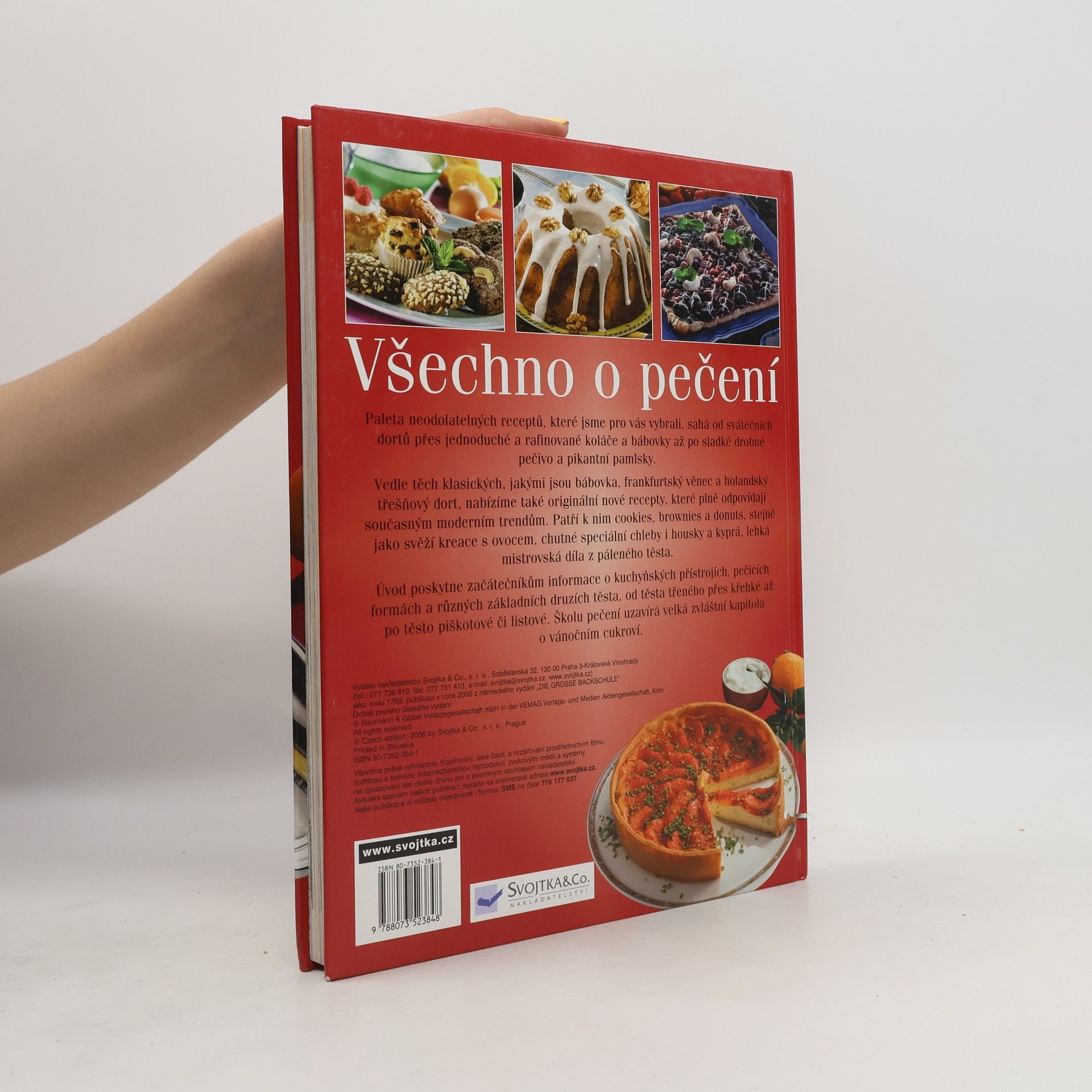 Autorenkollektiv Všechno o pečení