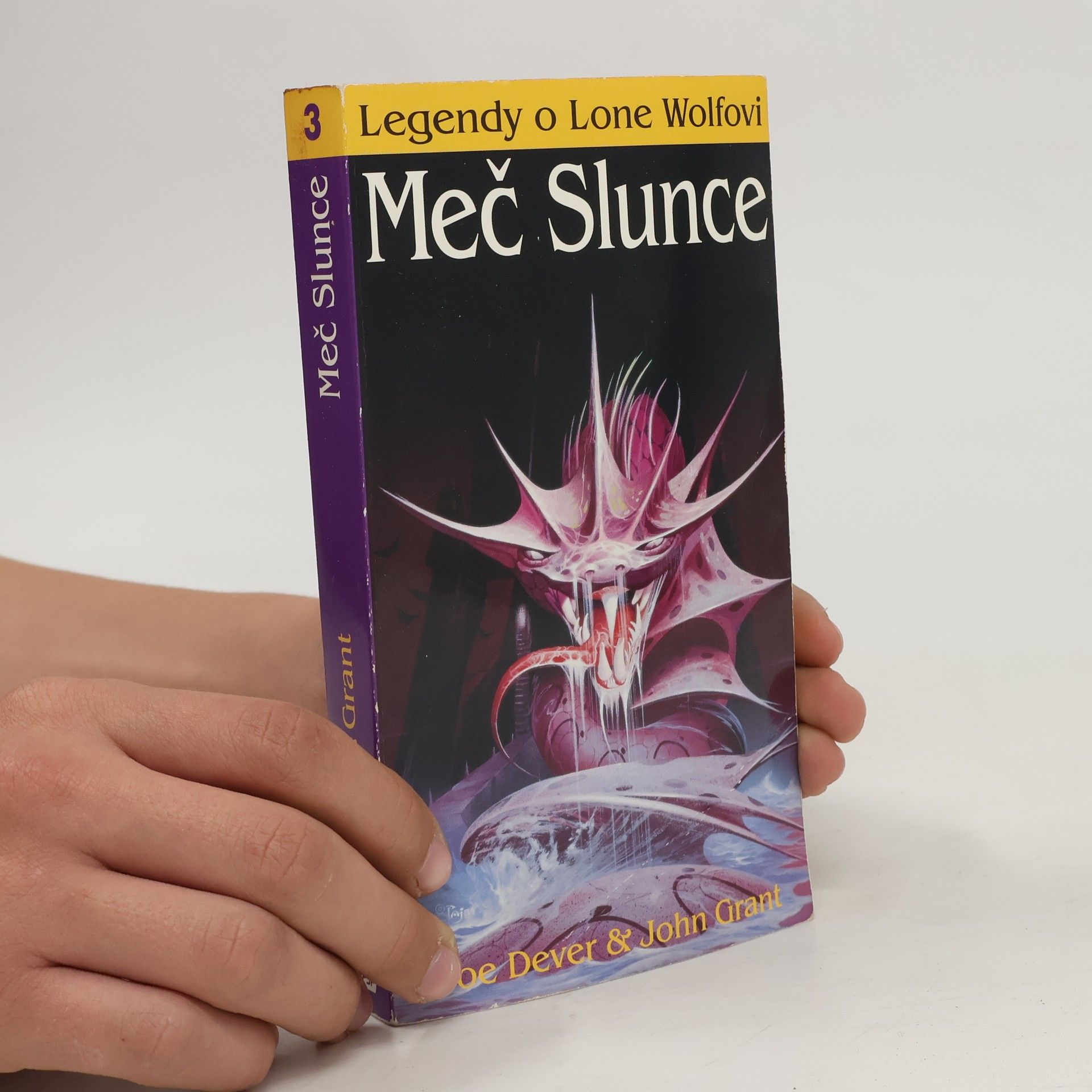 Joe Dever Meč Slunce