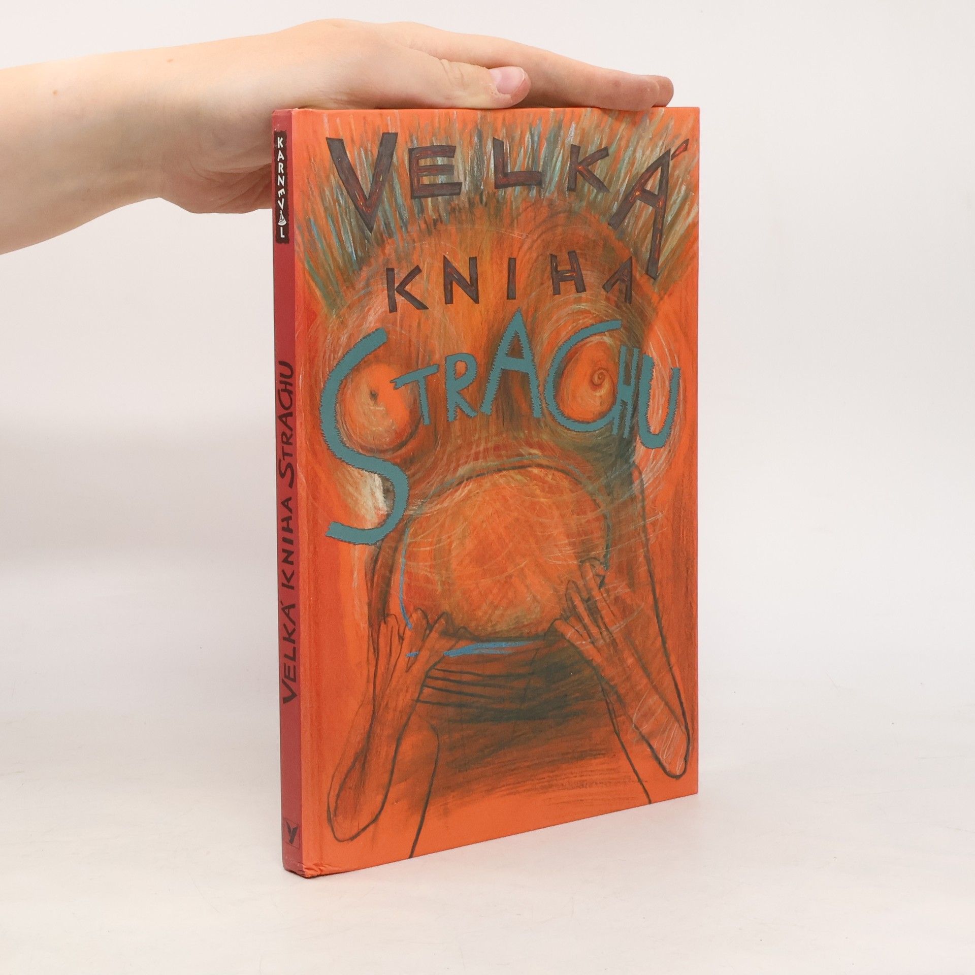 Veronika Bohatá Velká kniha strachu
