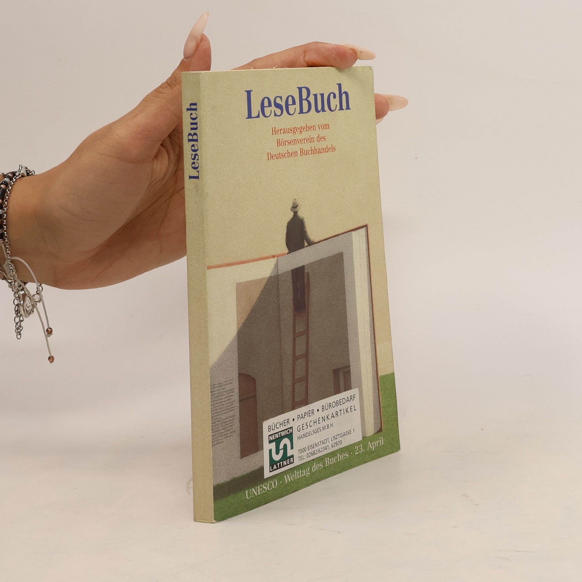 Kolektiv autorů LeseBuch