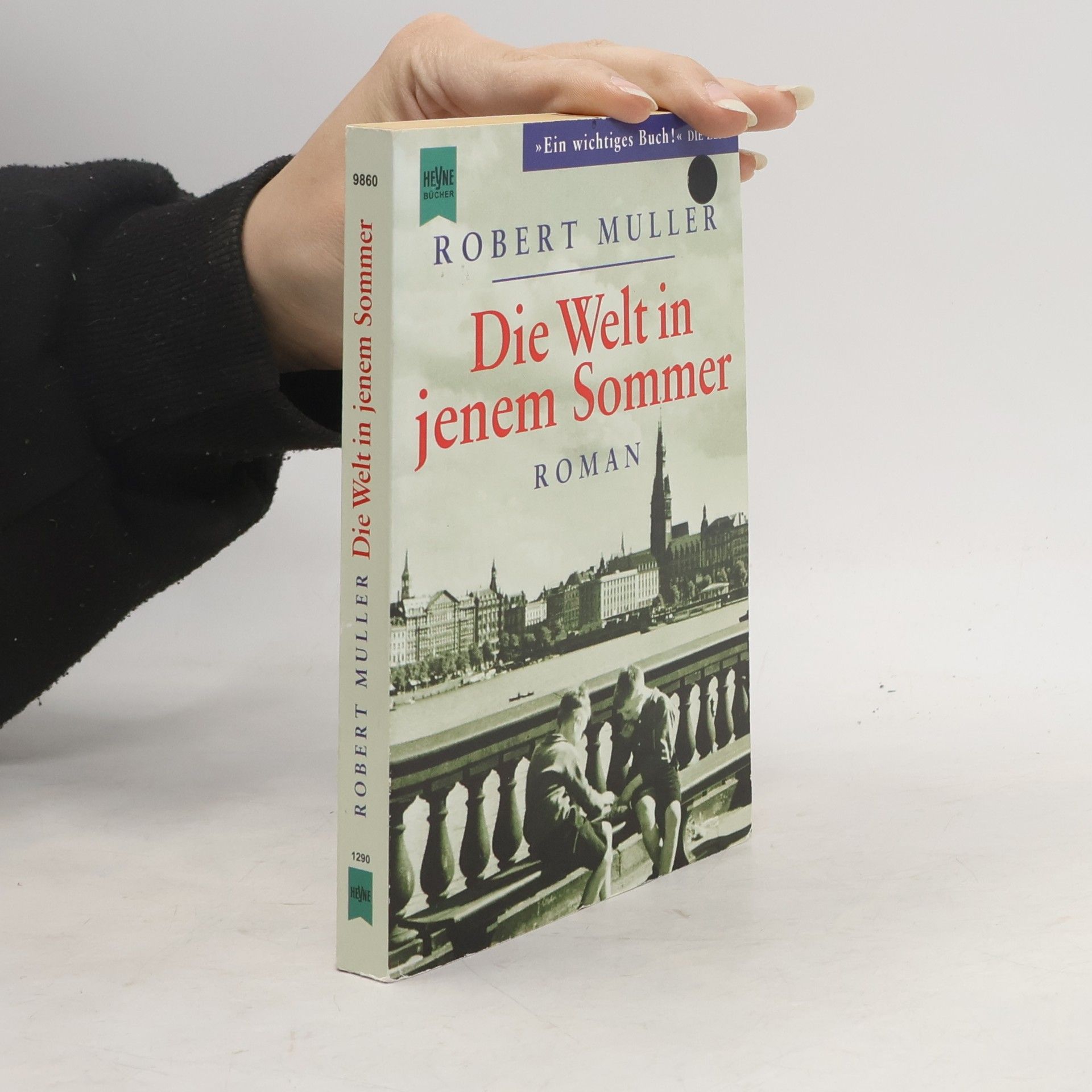 Róbert Müller Die Welt in jenem Sommer