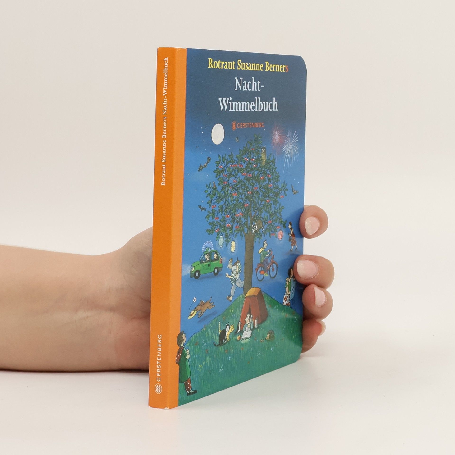Rotraut Susanne Berner Rotraut Susanne Berners Nacht-Wimmelbuch