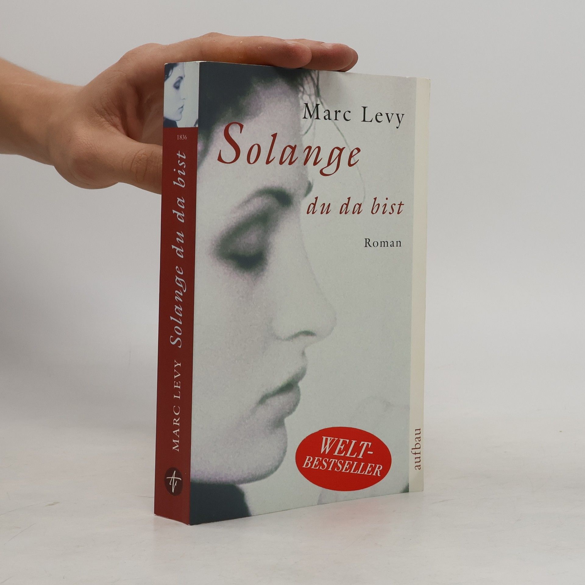Marc Lévy Solange du da bist