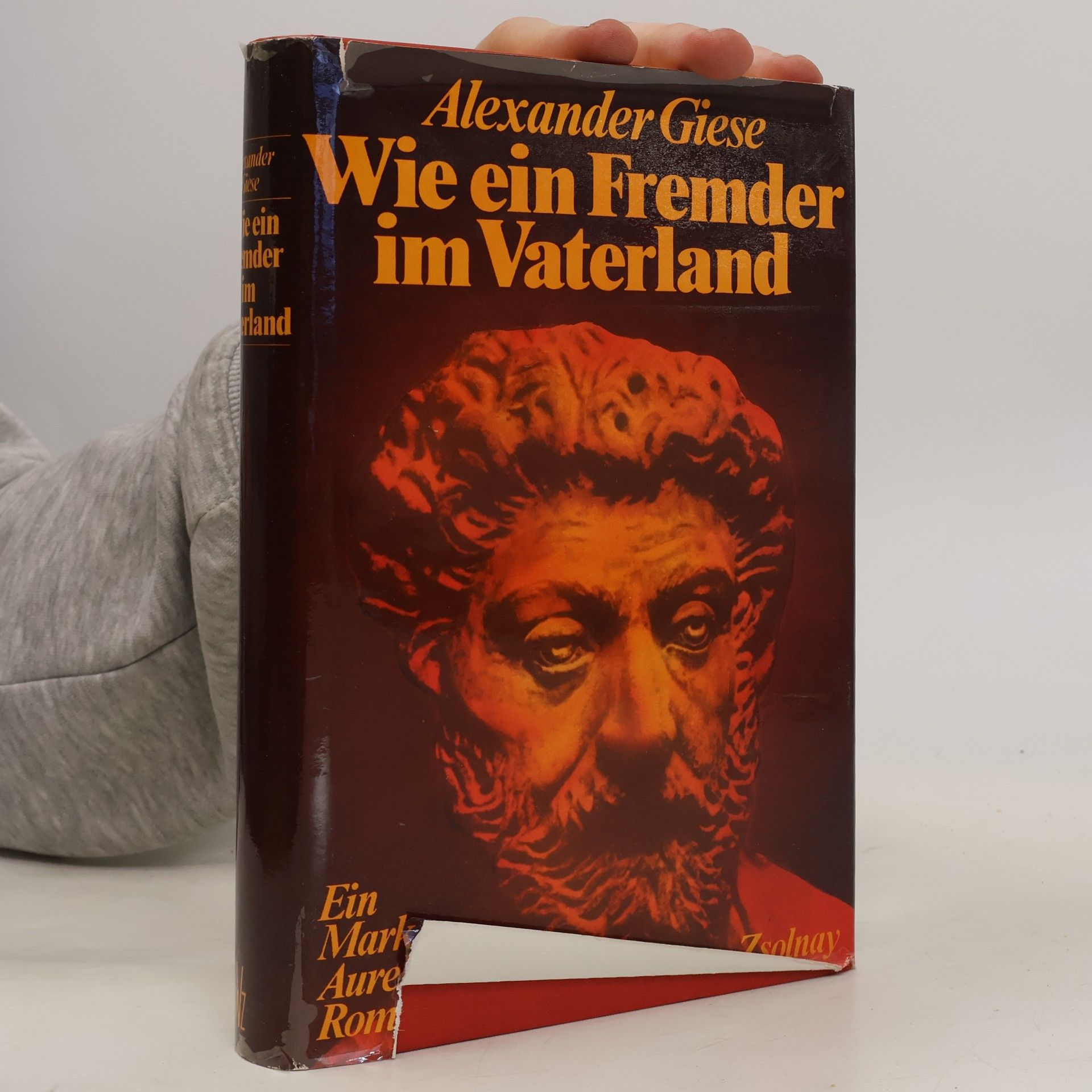 Alexander Giese Wie ein Fremder im Vaterland