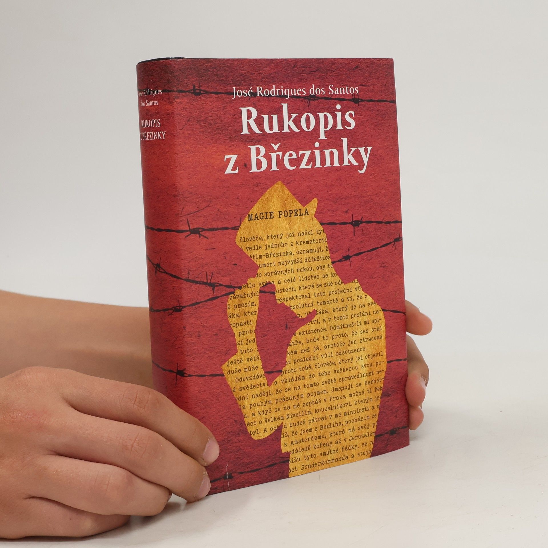 José Rodrigues dos Santos Rukopis z Březinky