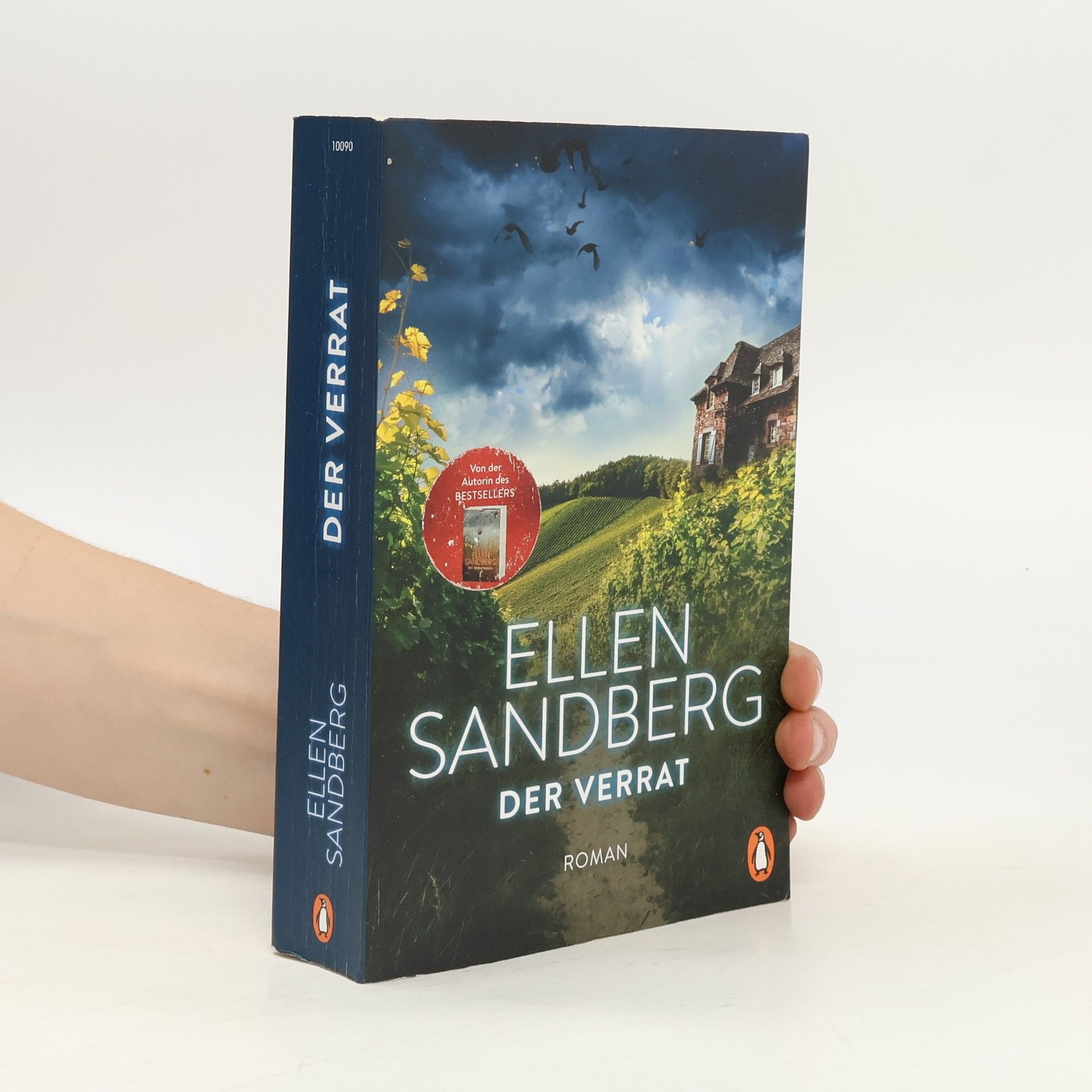 Ellen Sandberg Der Verrat