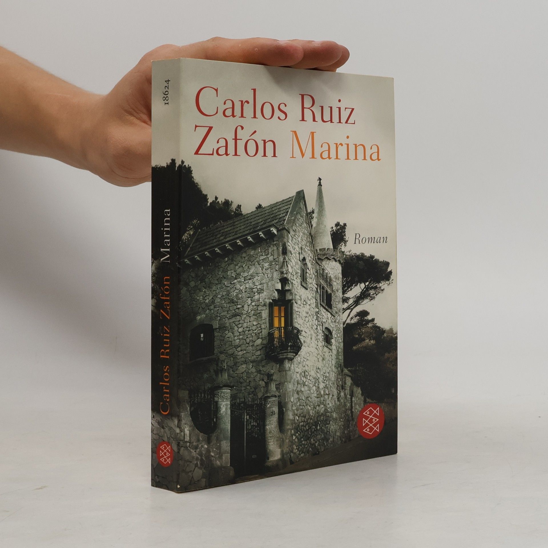 Carlos Ruiz Safon Marina