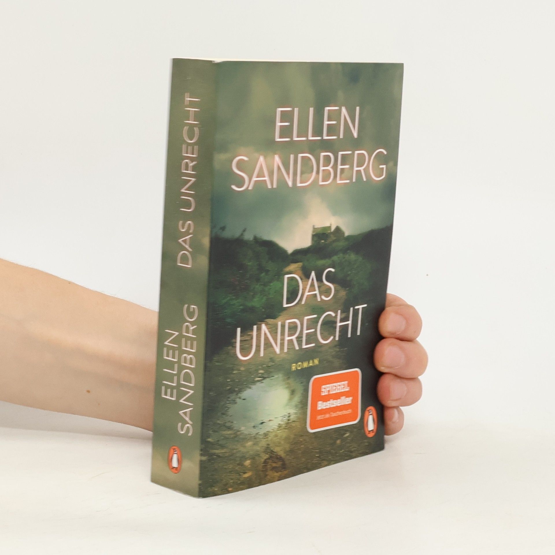 Ellen Sandberg Das Unrecht