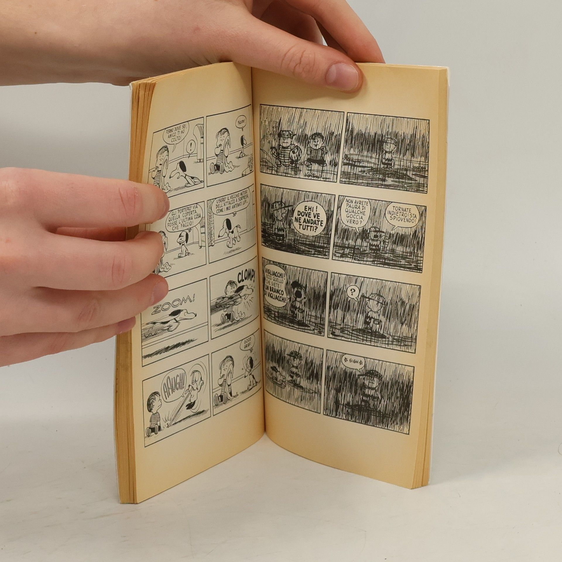Charles Shulz Il terzo libro di Charlie Brown