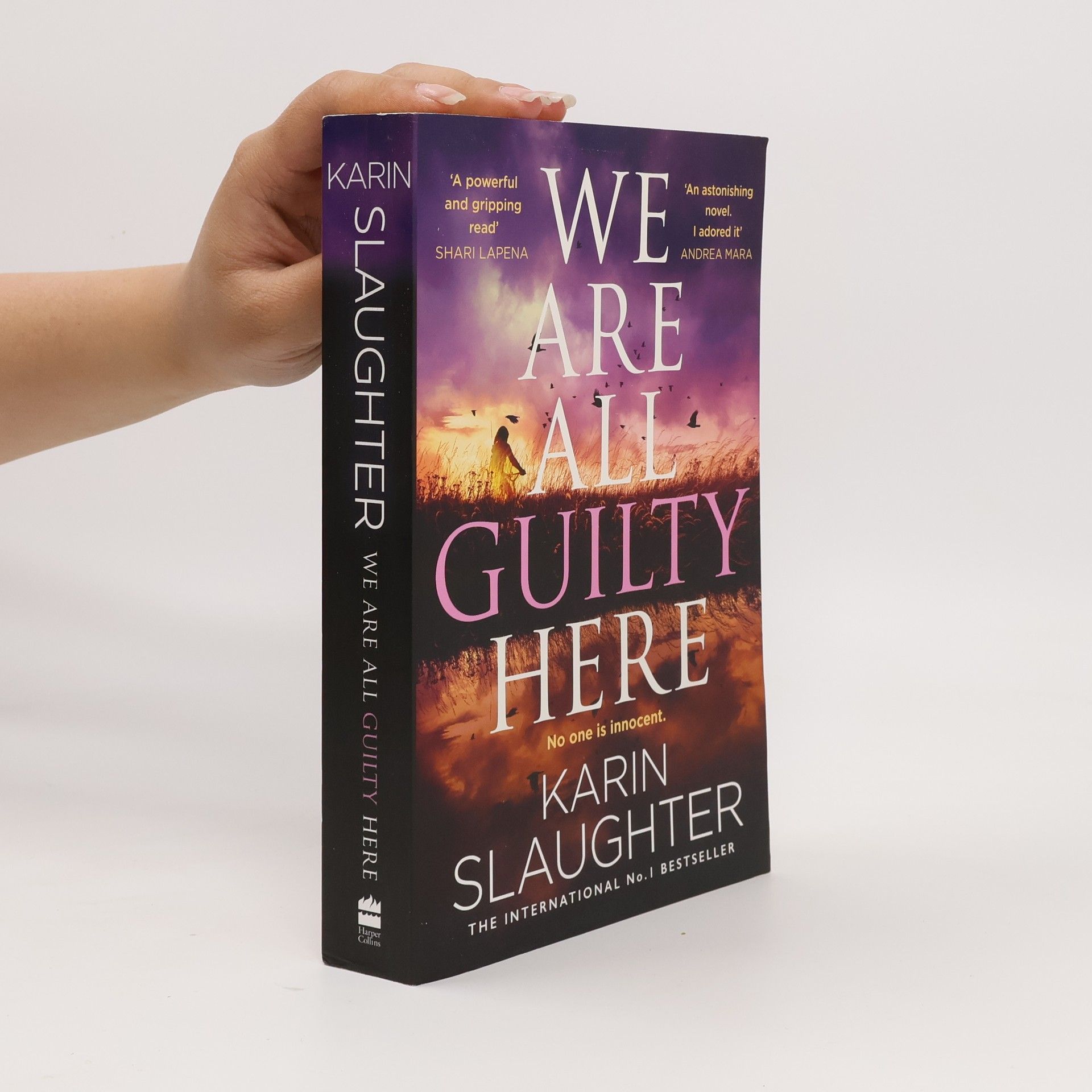 Karin Slaughter We Are All Guilty Here