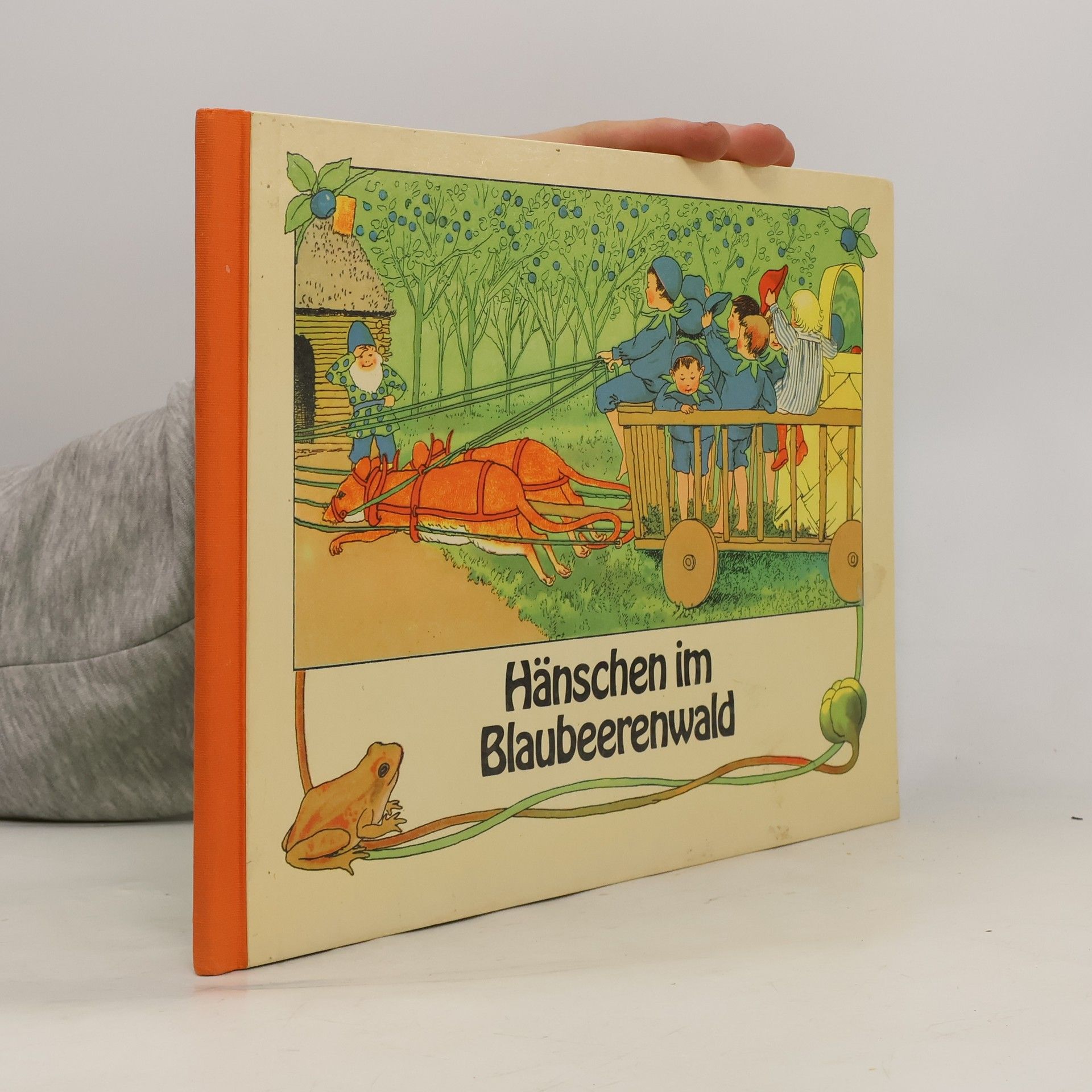 Autorenkollektiv Hänschen im Blaubeerenwald