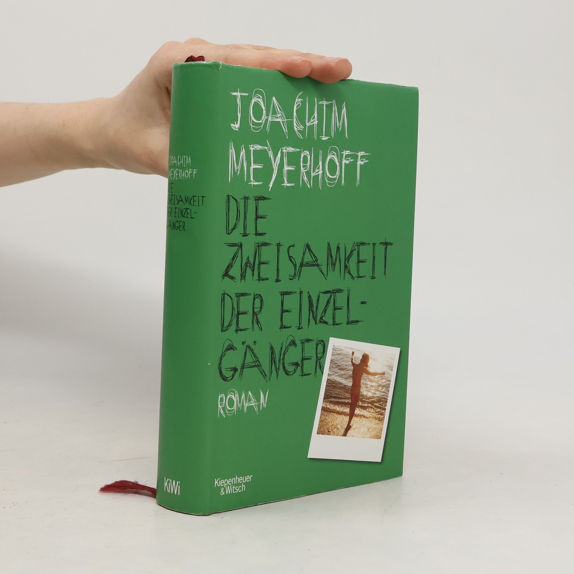 Joachim Meyerhoff Die Zweisamkeit der Einzelgänger