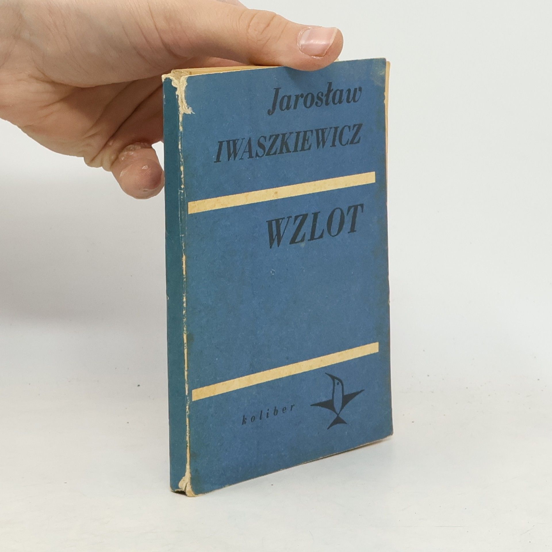 Jarosław Iwaszkiewicz Wzlot