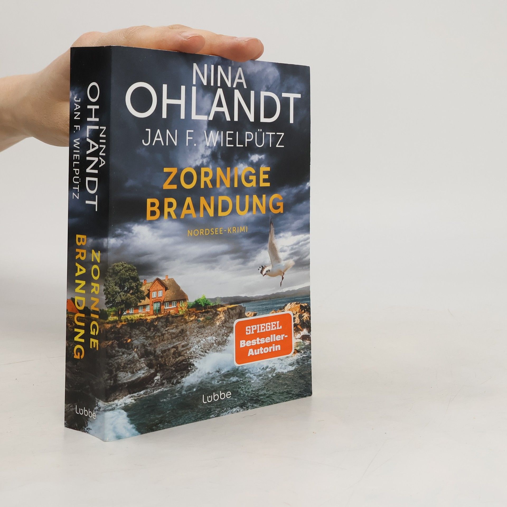 Nina Ohlandt Zornige Brandung