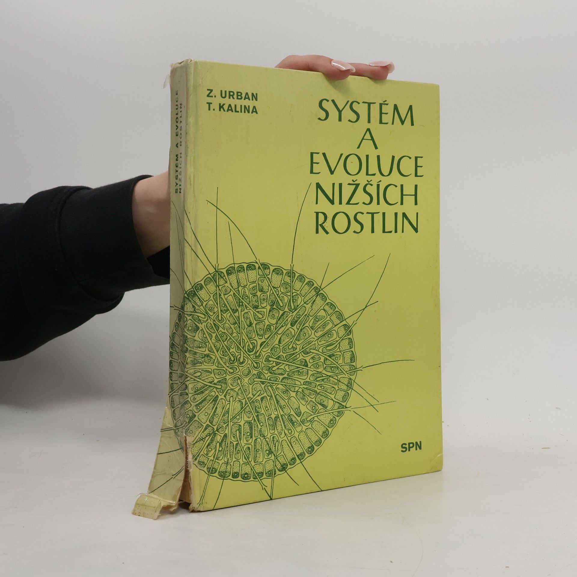 T. Kalina Systém a evoluce nižších rostlin