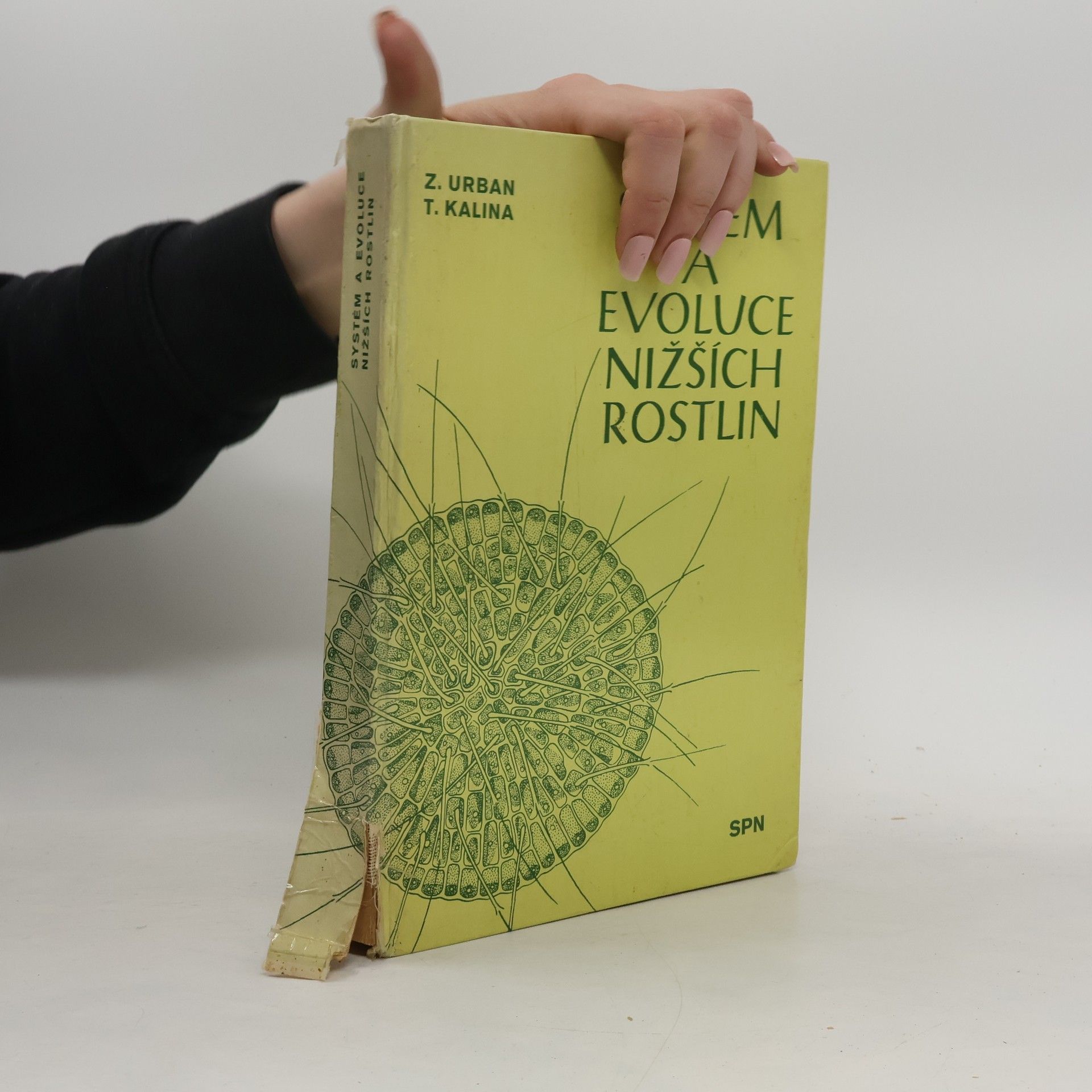 Z. Urban Systém a evoluce nižších rostlin