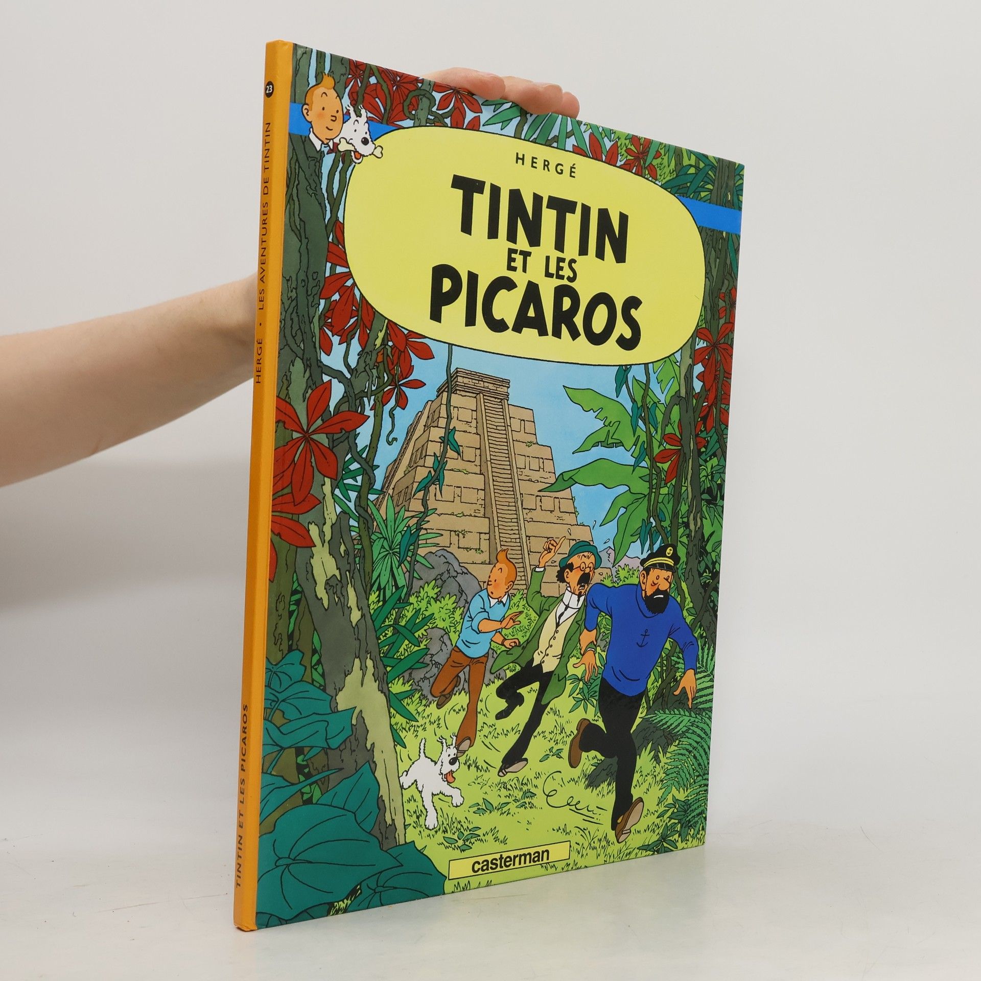 Tintin et les Picaros