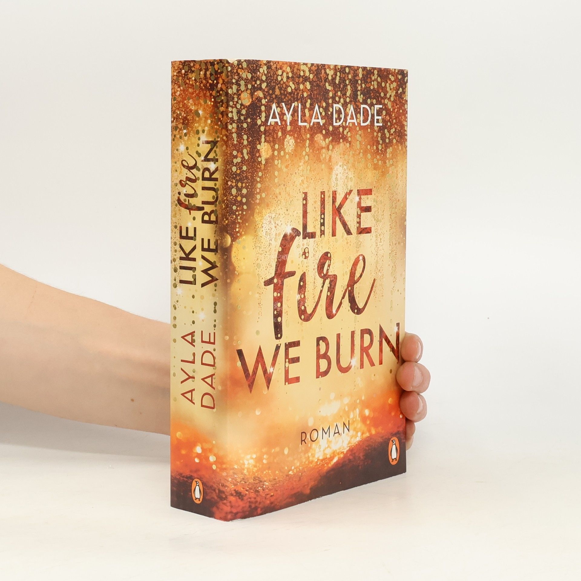 Ayla Dade Like Fire We Burn