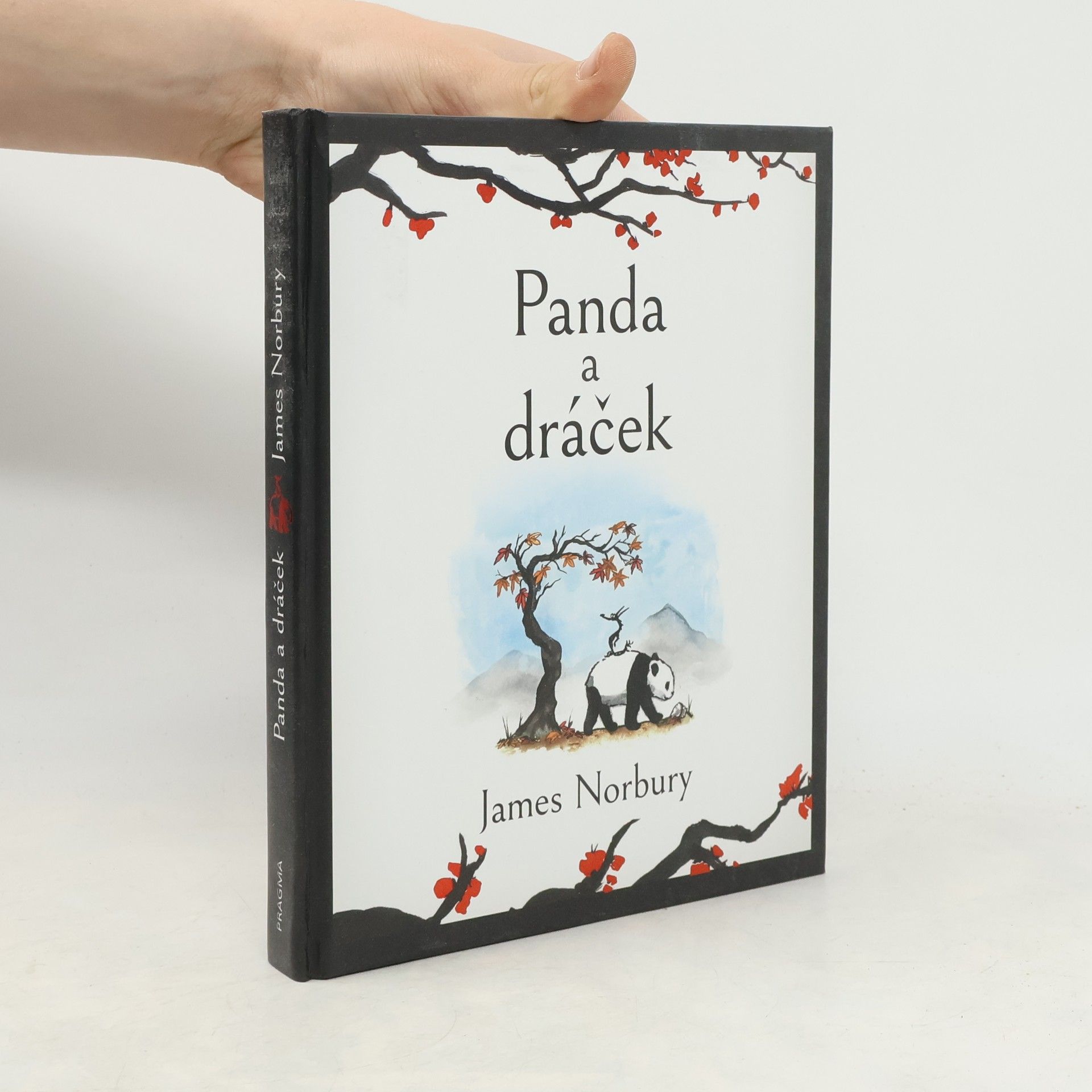 James Norbury Panda a dráček